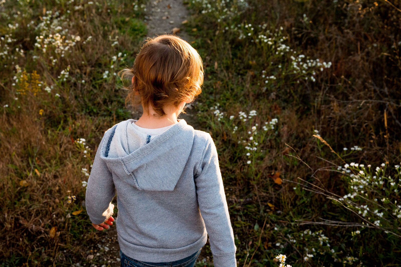 Boy walks along trail of wildflowers