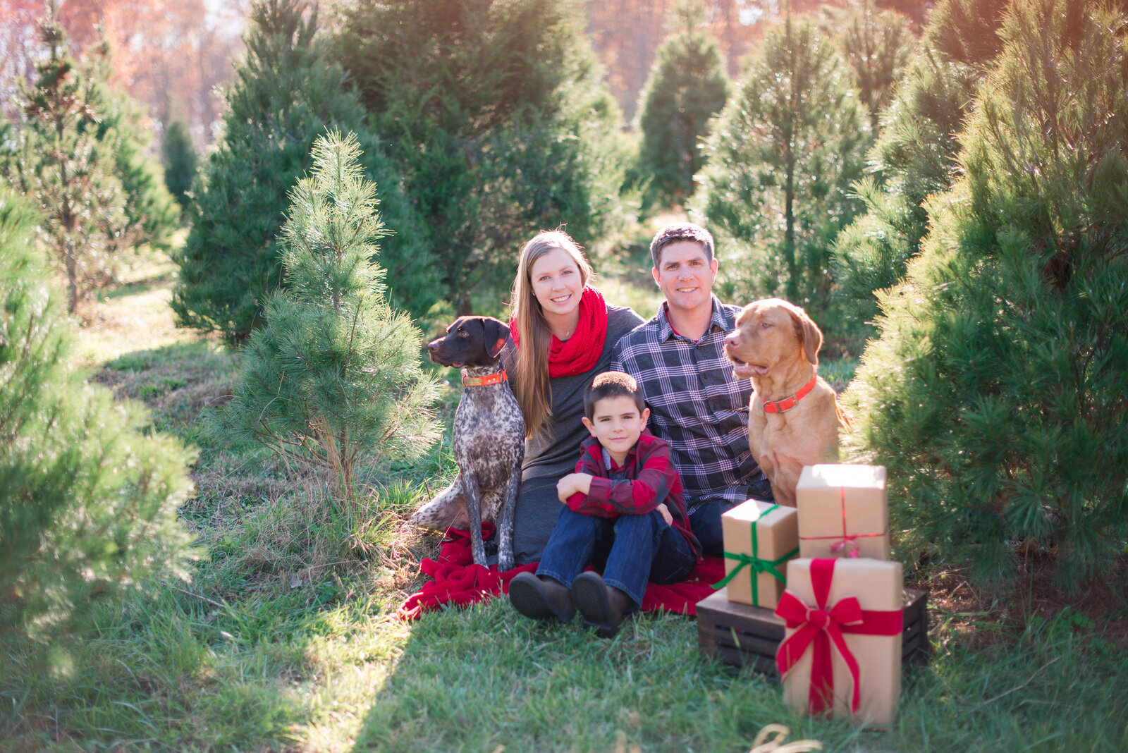 The Hamm Christmas-The Hamm Christmas-0002