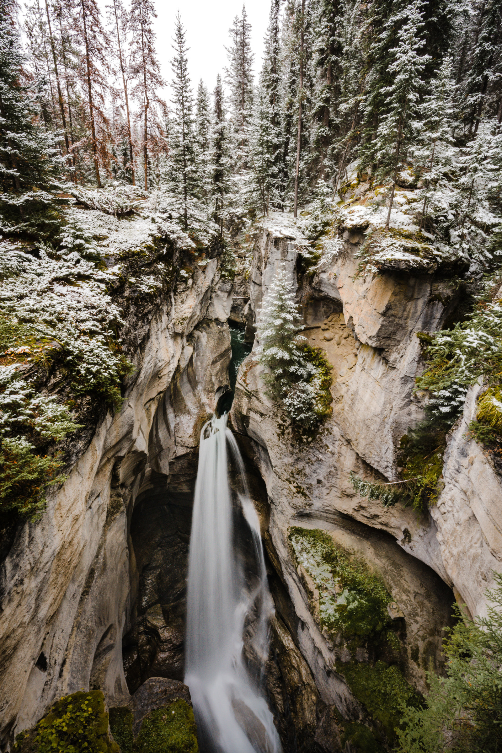 Banff_Jasper_National_Park_Sasha_Reiko_Photography-72