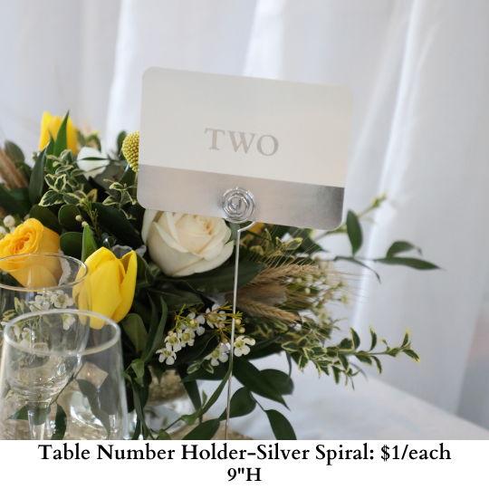 Table Number Holder-Silver Spiral-617