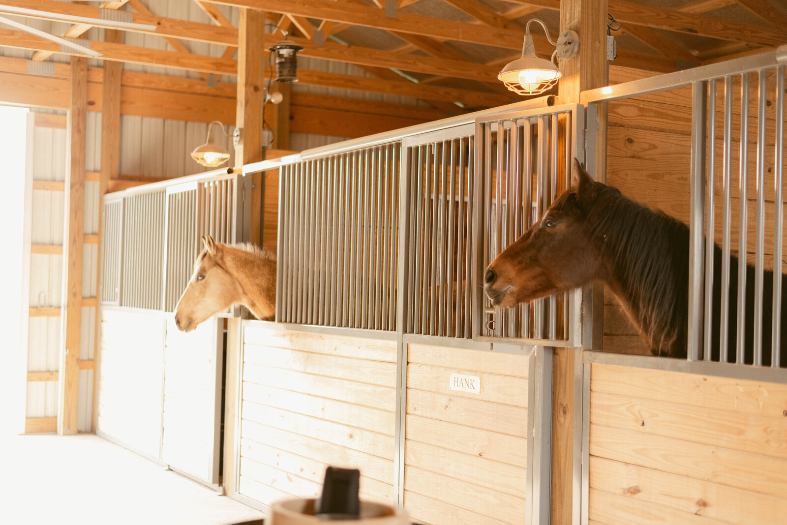 horsesbarn (1 of 1)