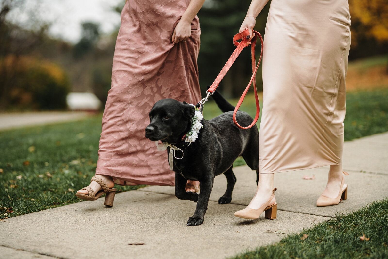 JWP_EmmaandTyler_10.25.2025__B___5088 copy