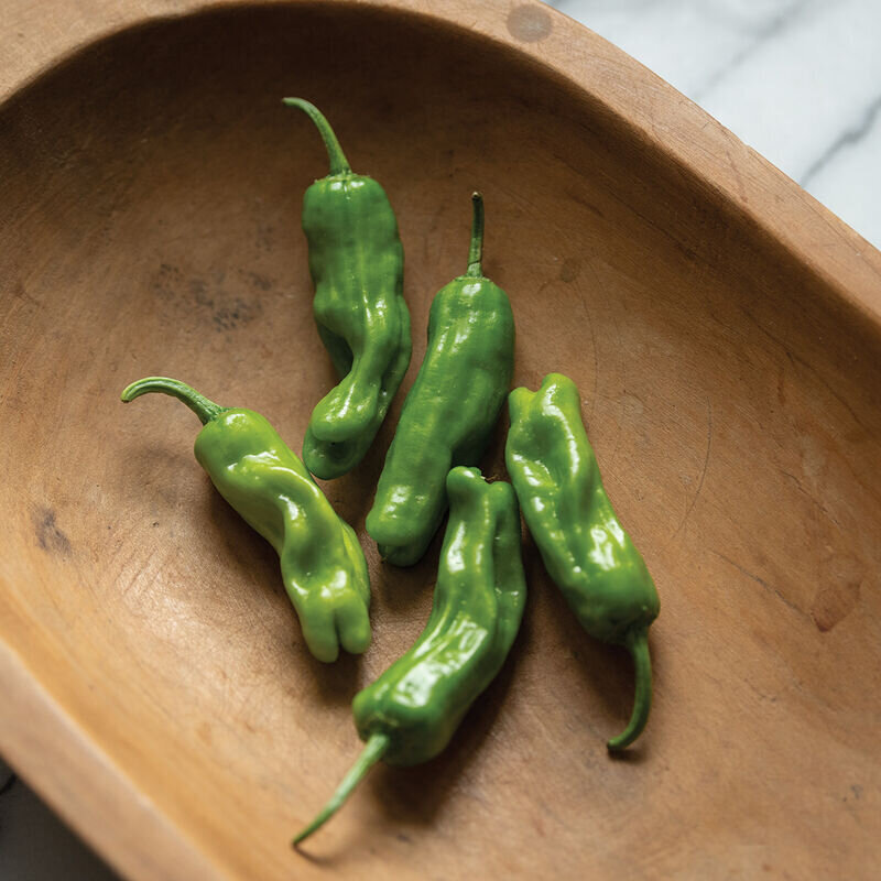 Pepper - shishito