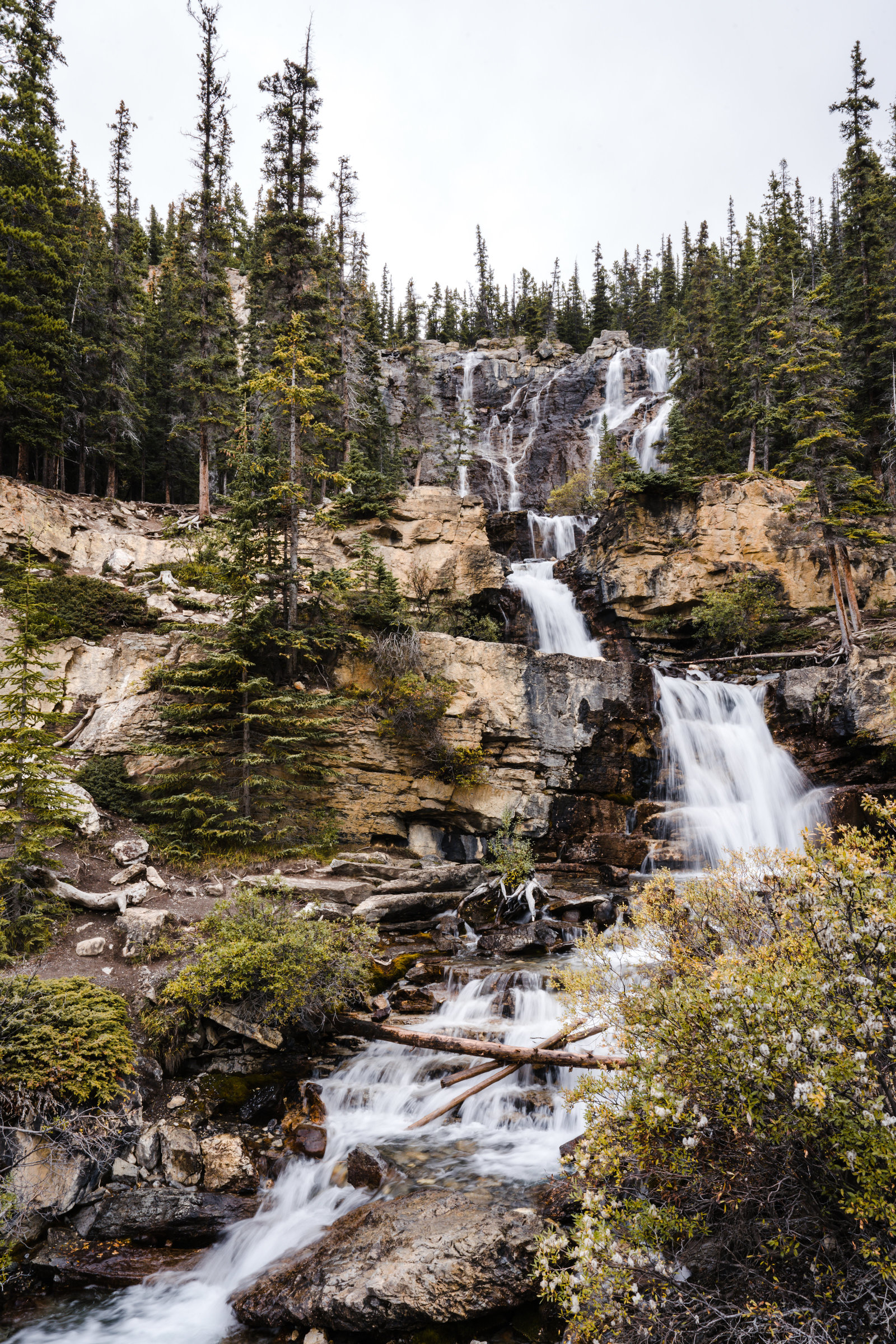 Banff_Jasper_National_Park_Sasha_Reiko_Photography-40
