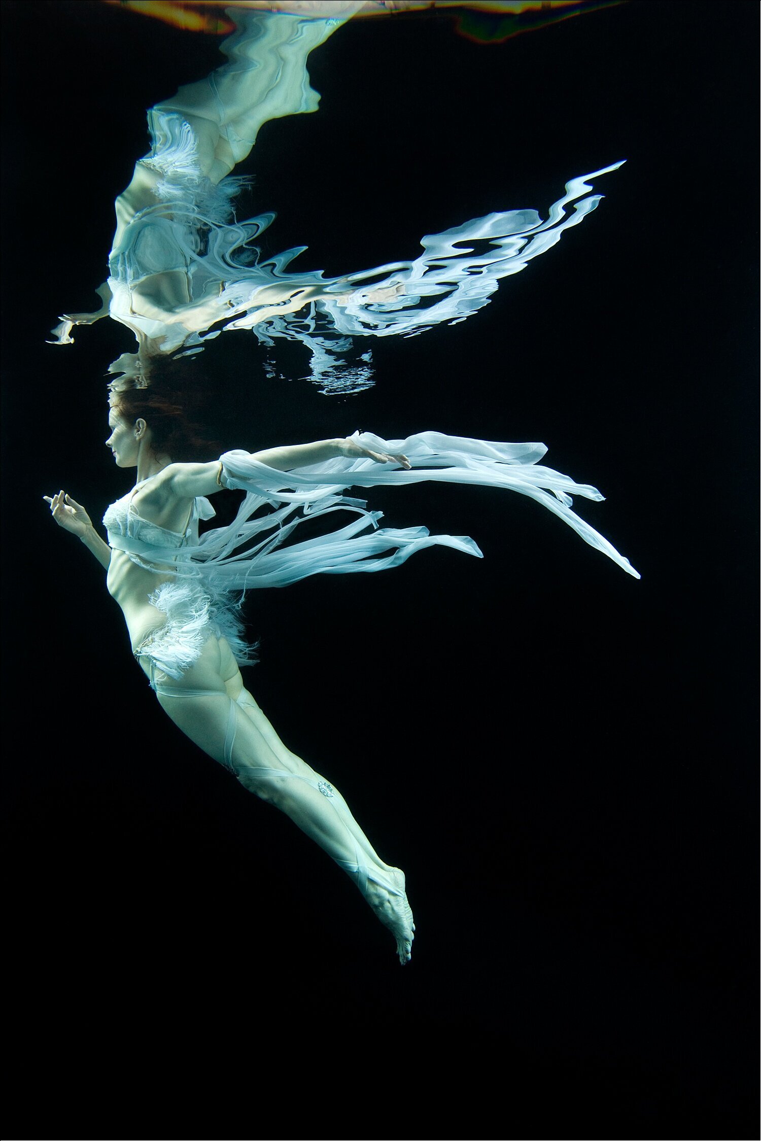 Underwater-New-York-Photos-2020-015_WEB