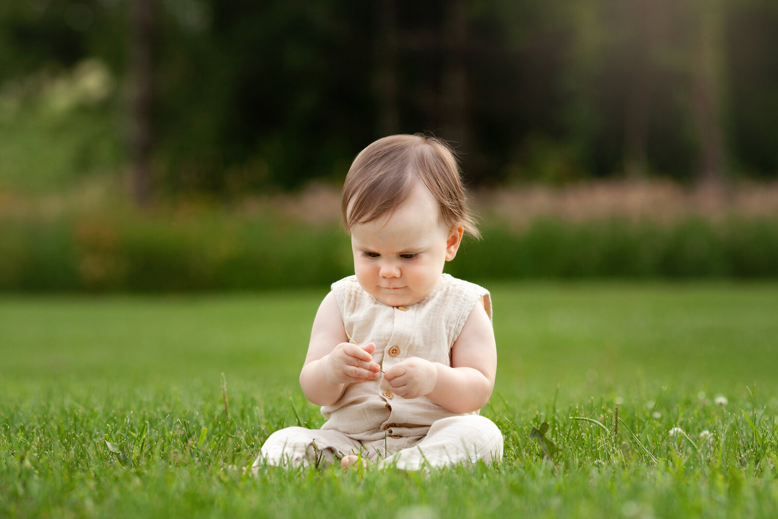 One year old boy sitting in grass, playing with blade of grass.