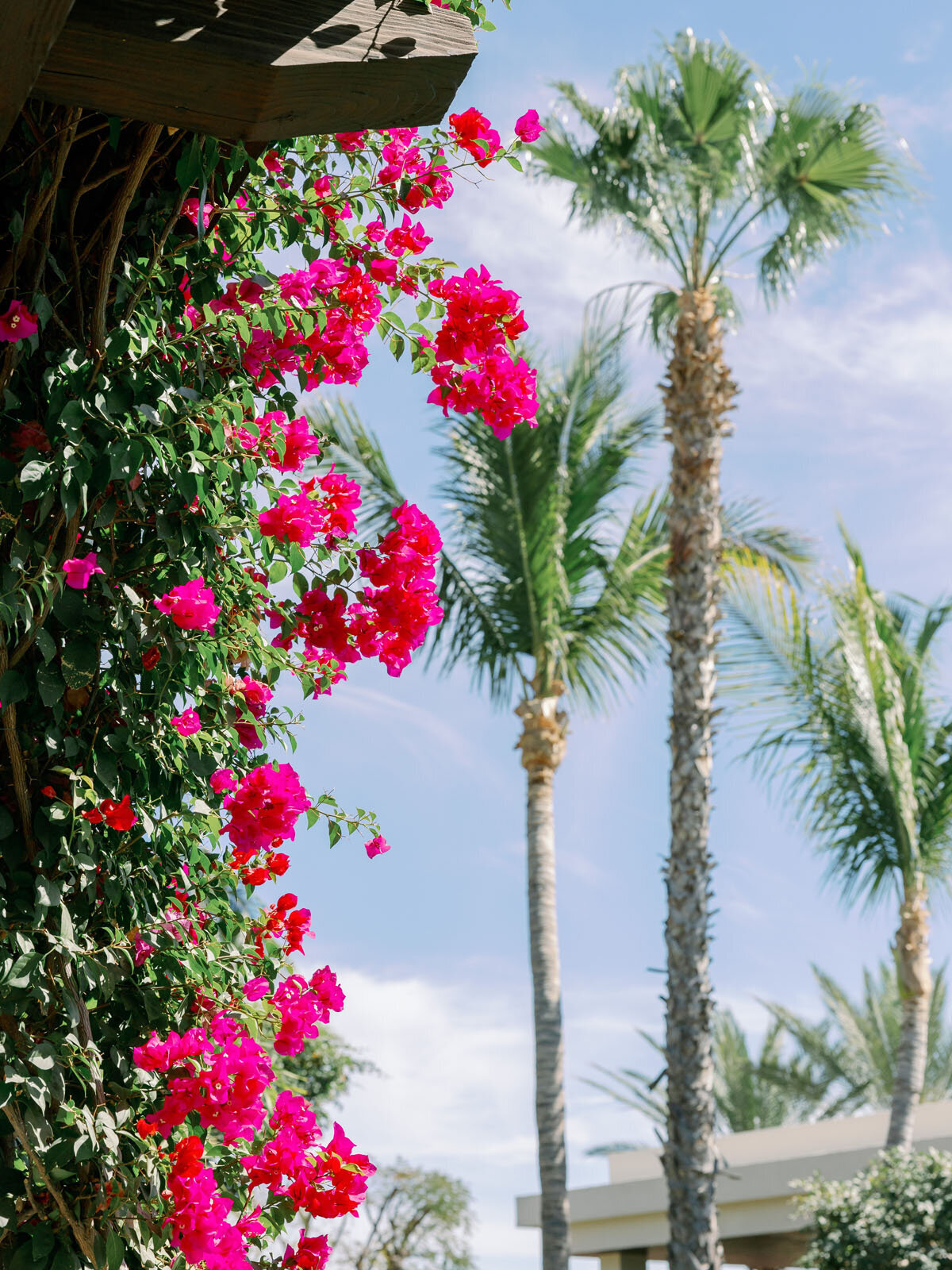 Wedding Day-Liz Andolina Photography-9
