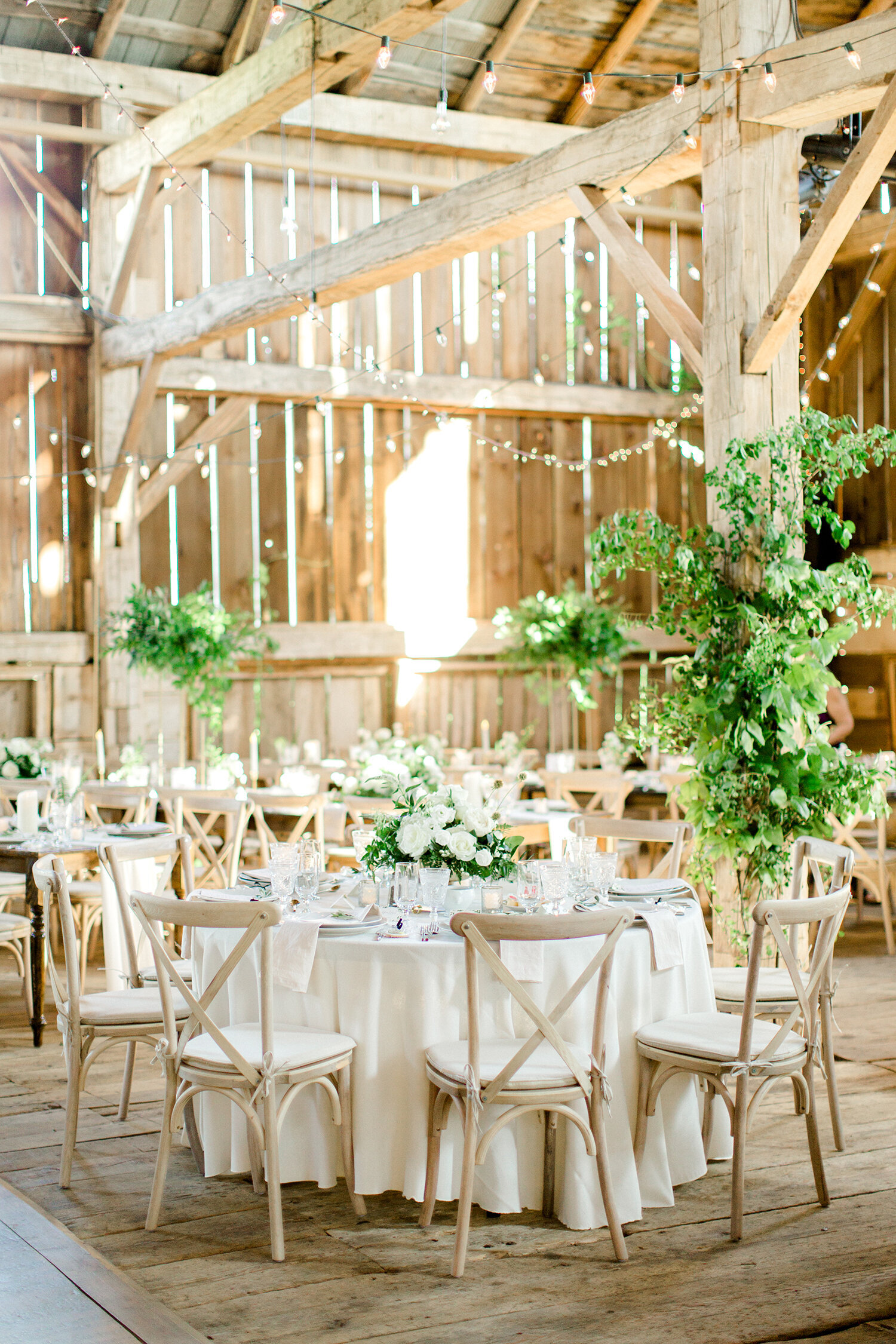 Cambium Farms Forever Wildfield Wedluxe Richelle Hunter 6