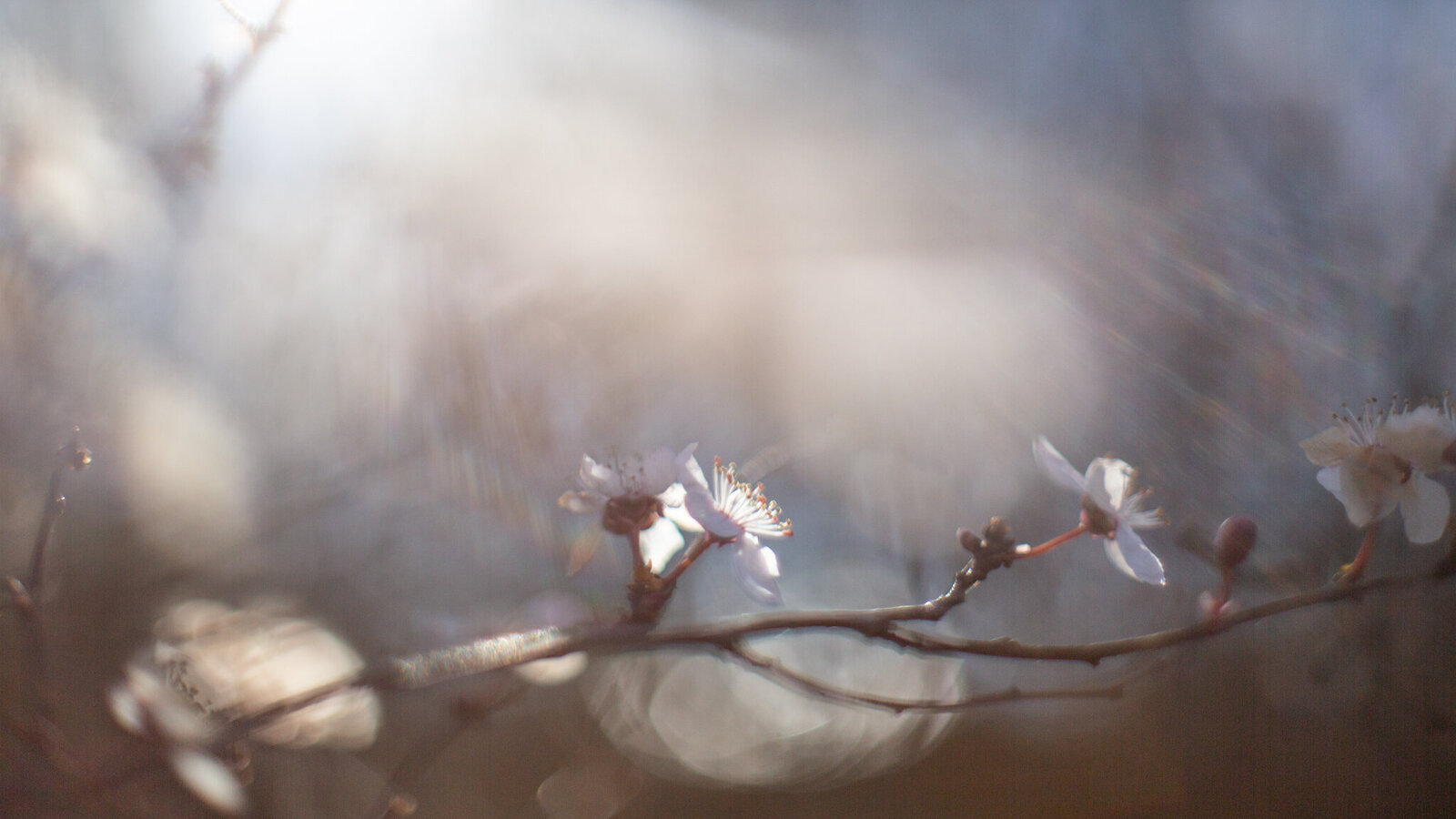fine_art_photographer _067