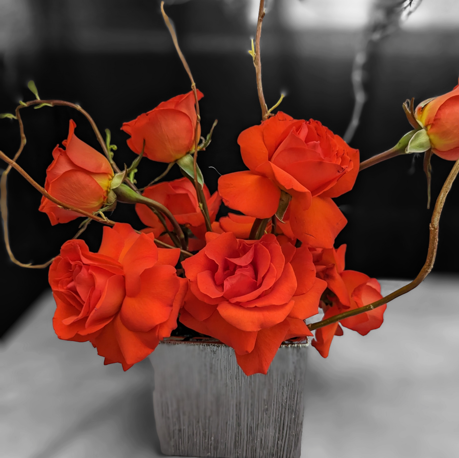 PhotoRoom-20230314_211708 (1)