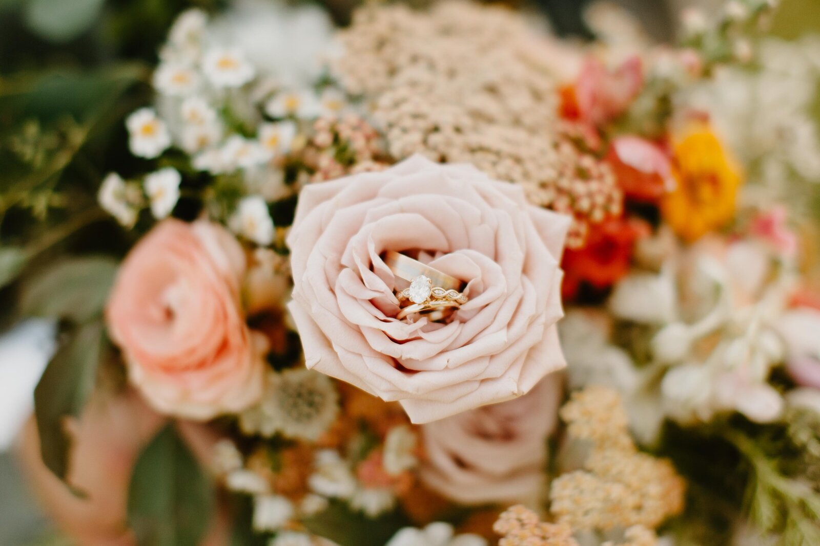 Favorites - 552 of 899