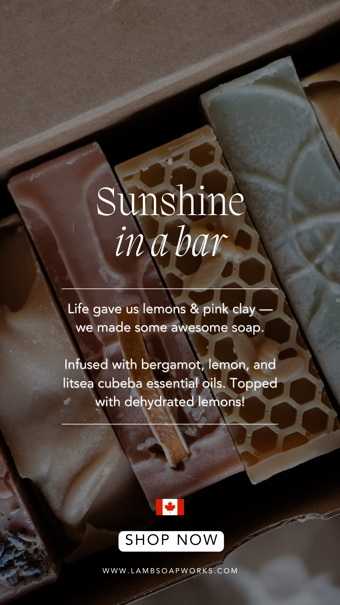 soap-company-pinterest-management (11)