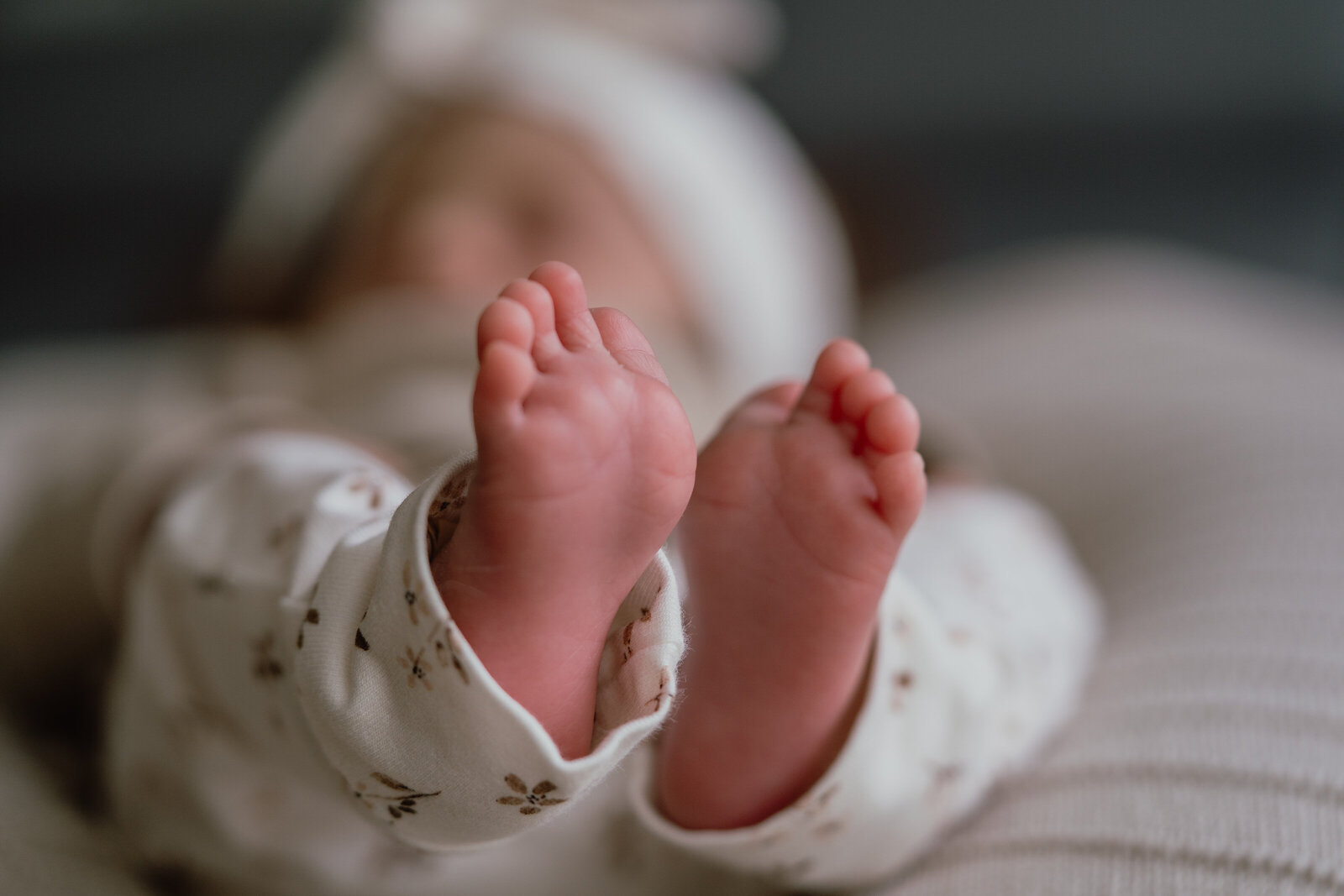 Newborn Elena-06080