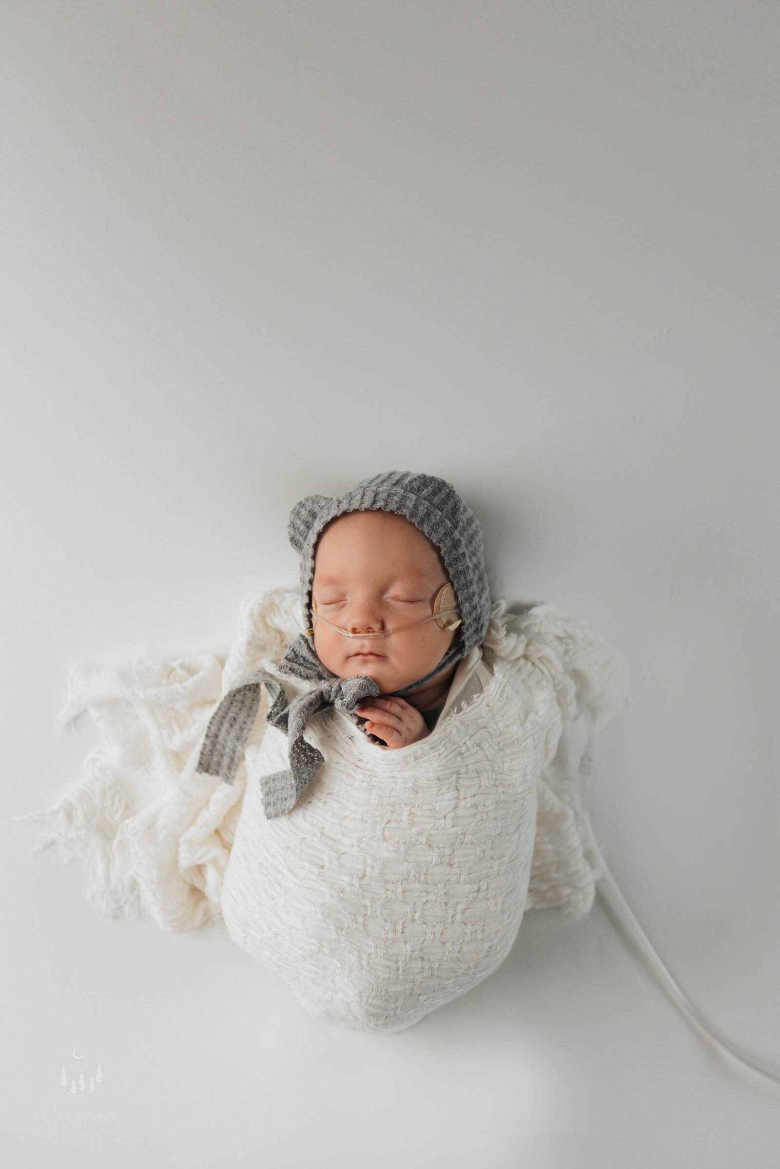 a 12 week old infant born at 28 weeks gestation laying on his back, wrapped in white, with a gray bear ear hat, wearing oxygen, taken by norpine photography of gaylord michigan and surrounding areas