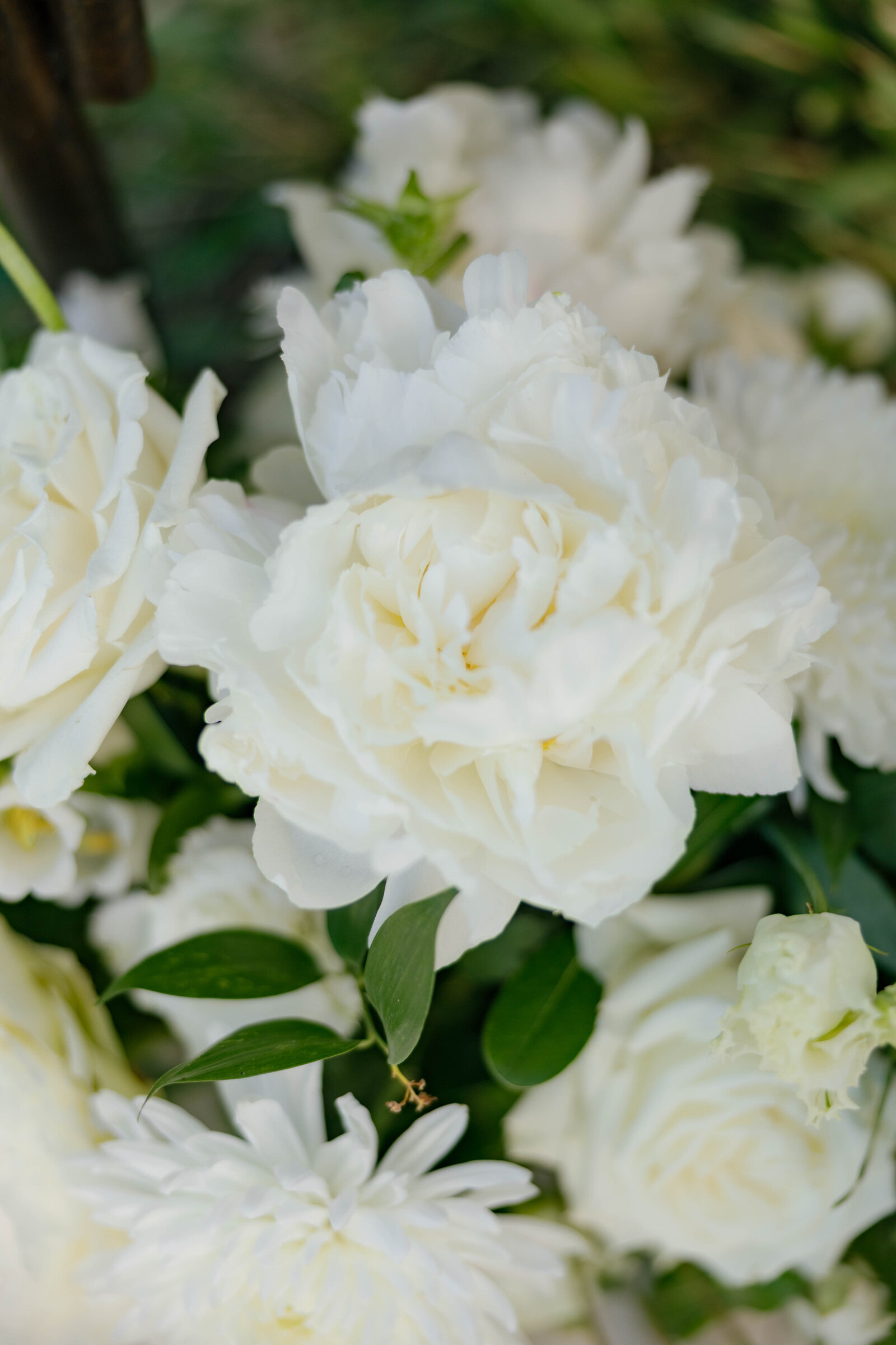 luxury-wedding-photographer68