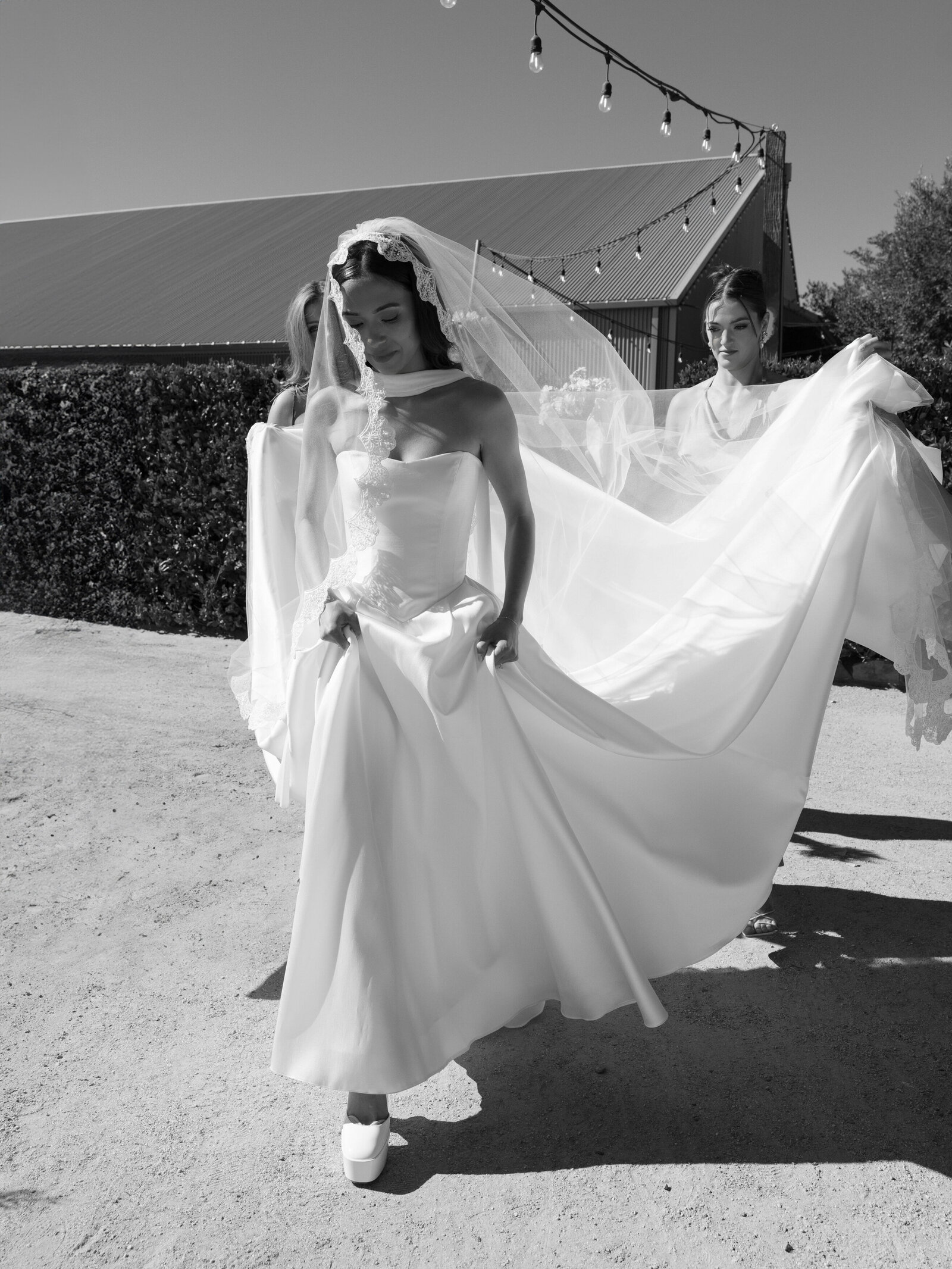 Dani Toscano — Shina & Quinn Overview Web Size-35