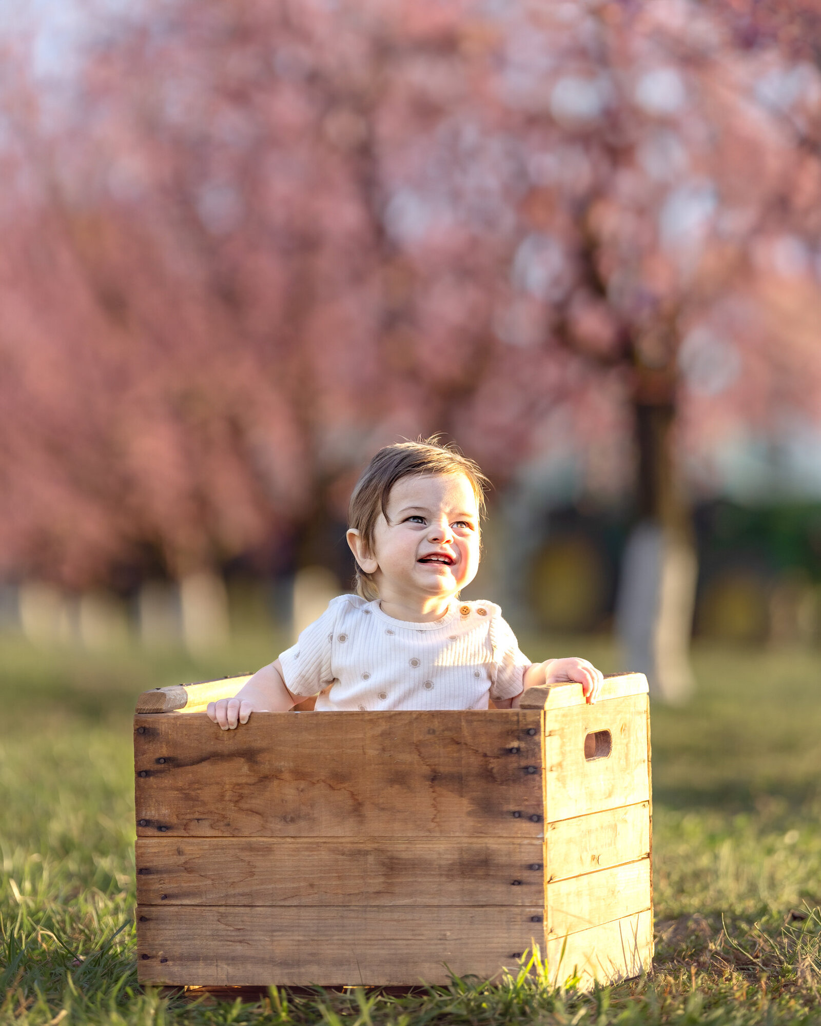 Raleigh-family-photographer-2025-608
