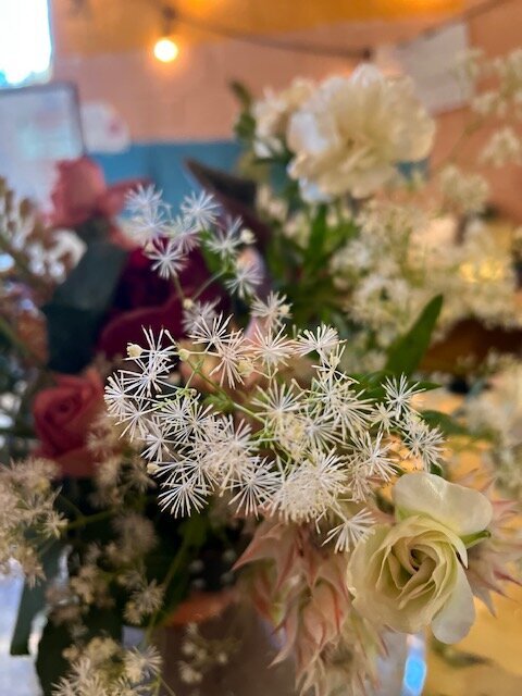 QBR and DD -close up of thalictrum