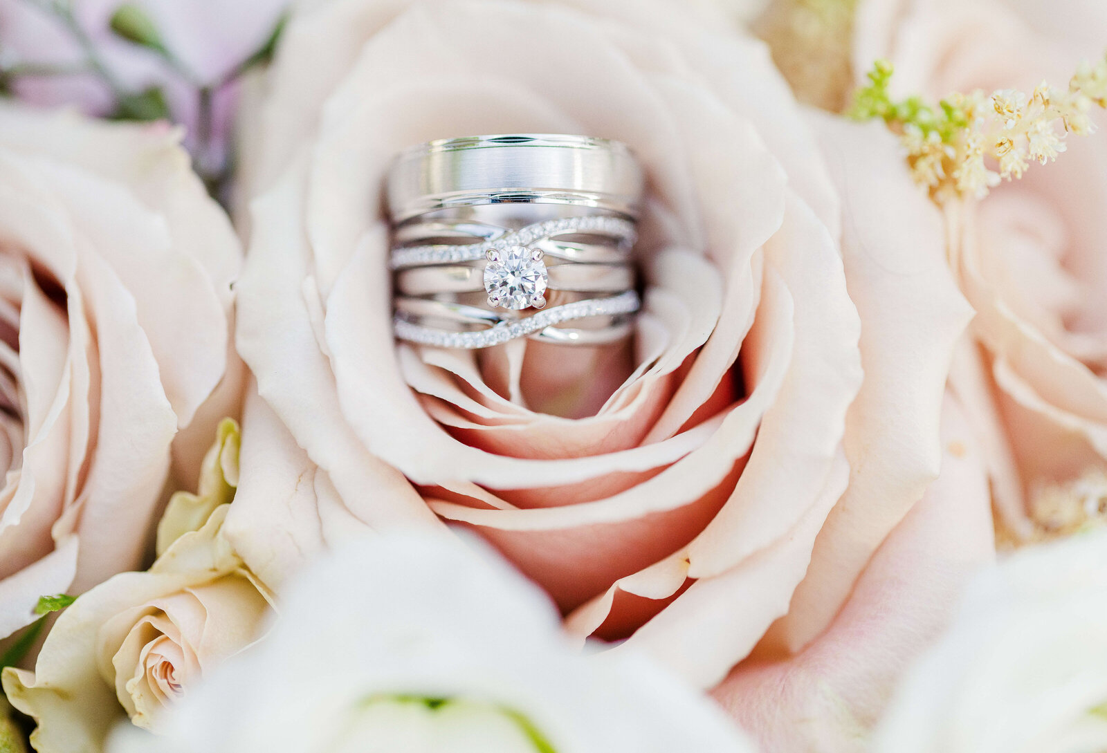 Wedding and engagement rings in a pink rose - details photo on a spring wedding day