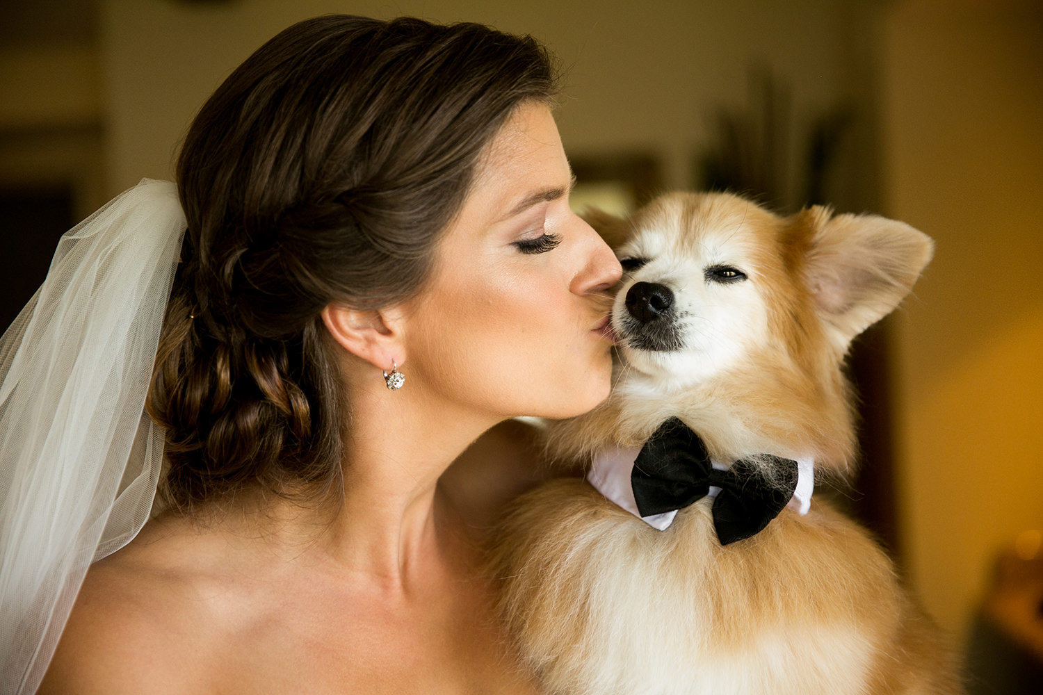 bride kissing doggie at the dana