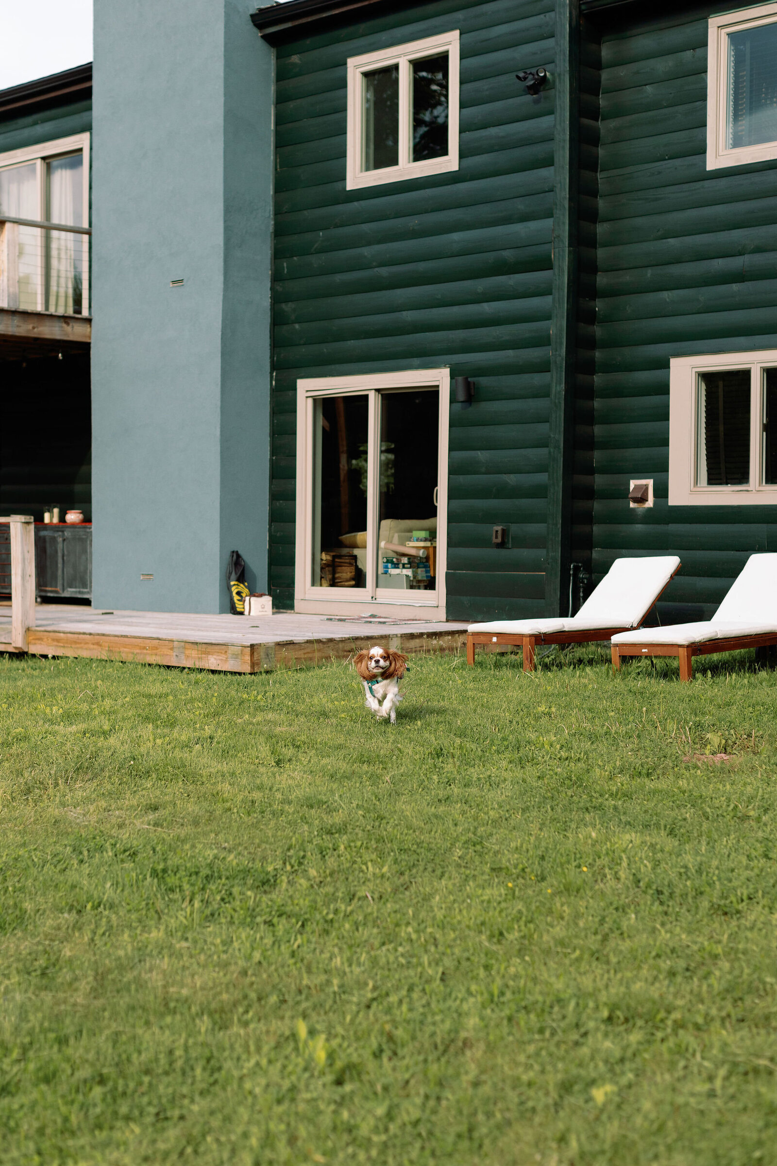 indian-micro-wedding-catskills-hudson-valley-868