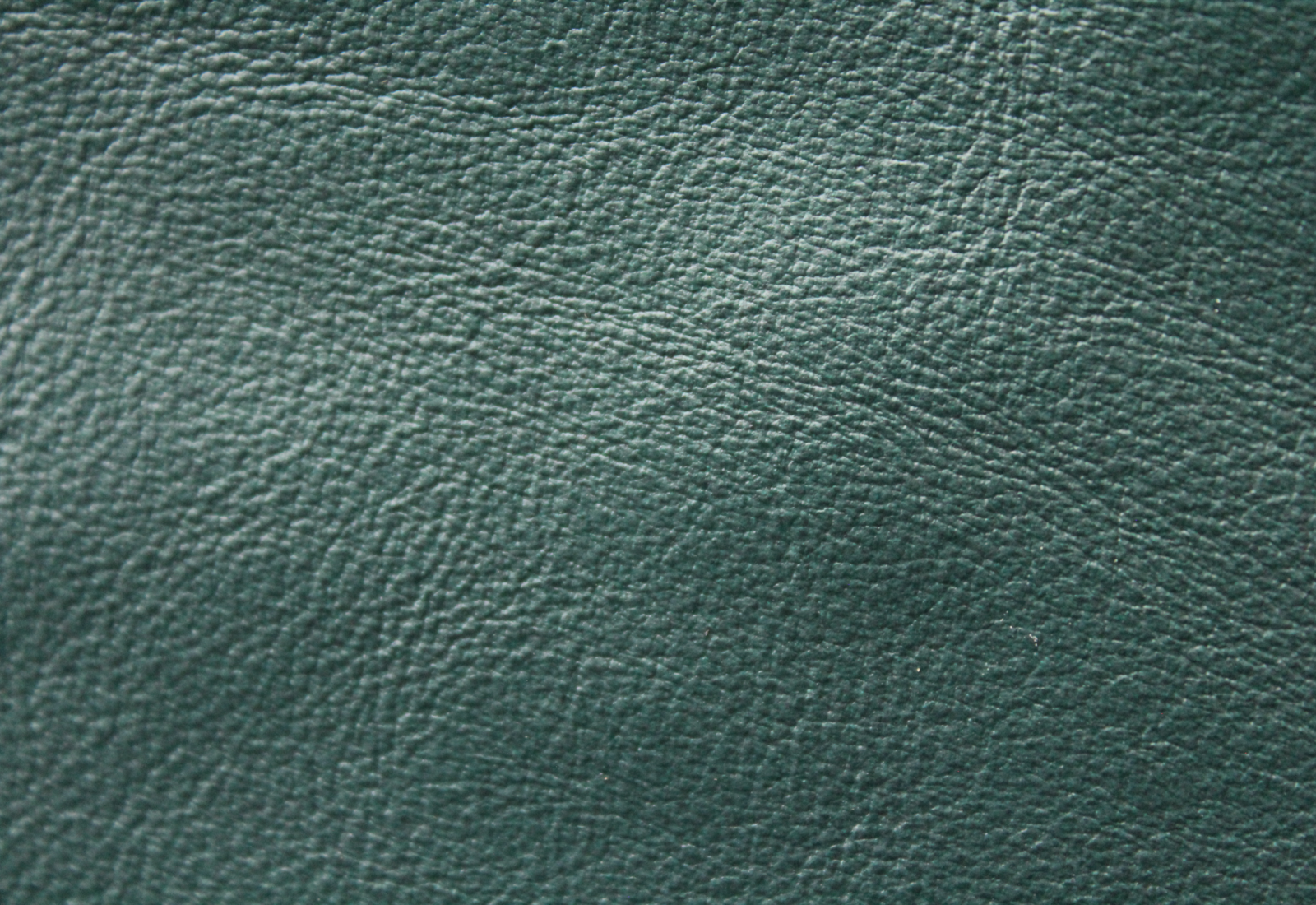 Amadeus Federal Leather