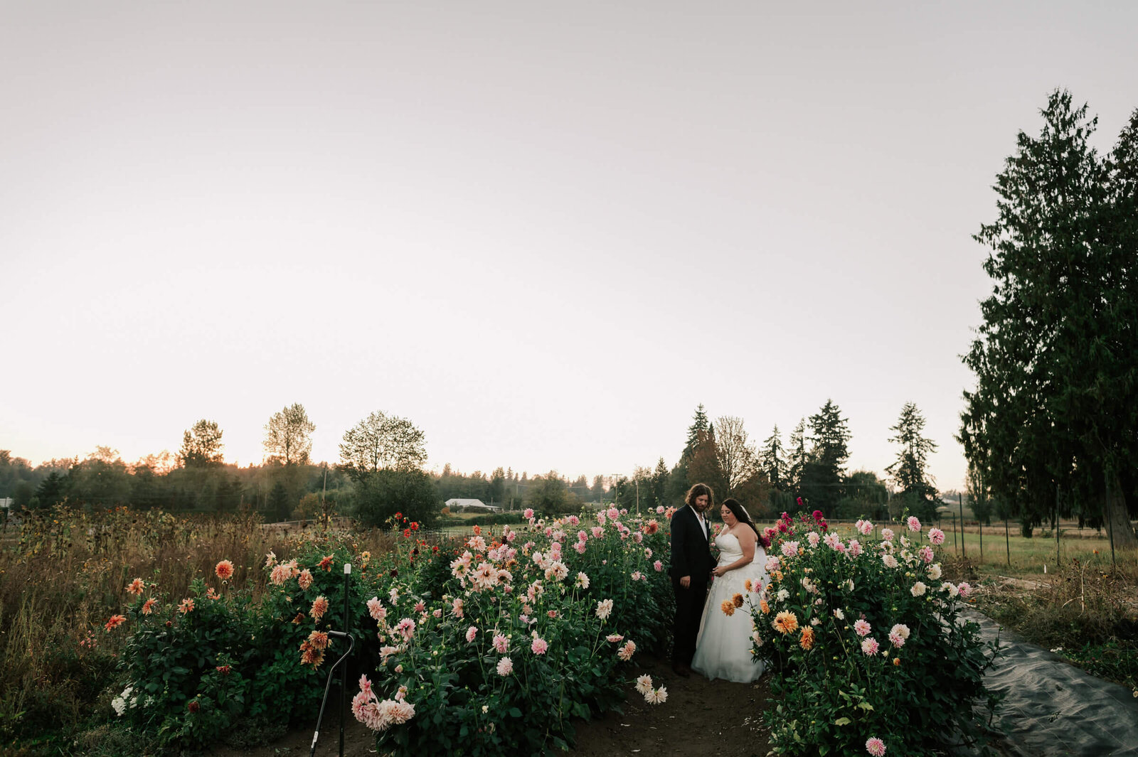 fraser-valley-wedding-photographer-3494