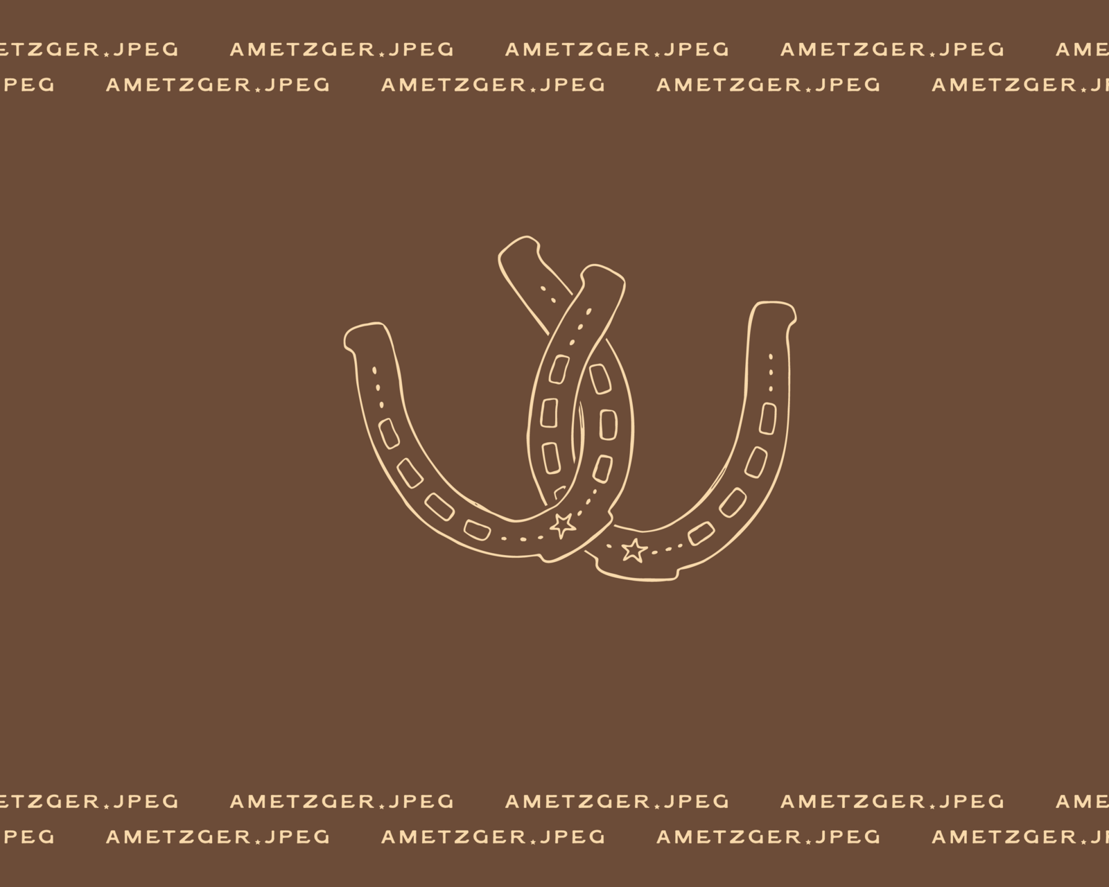 websiteportfolio_allisonmetzger-06