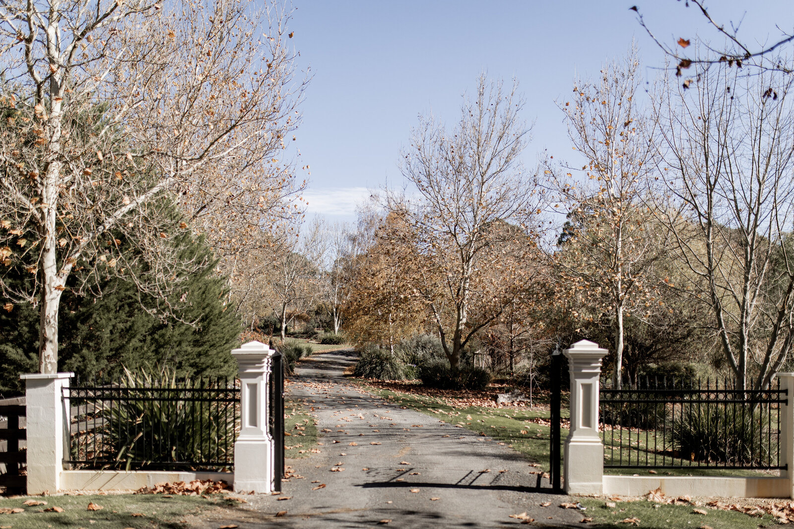 250524-Julia-Harry-Rexvil-Photography-Adelaide-Wedding-Photographer-82