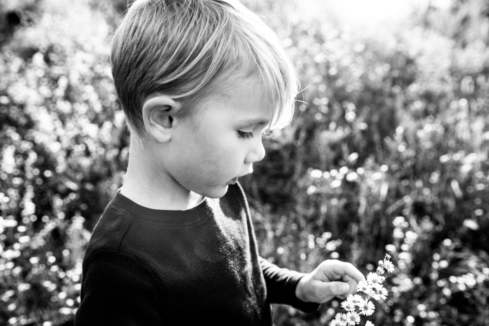 Young boy points to wildflower