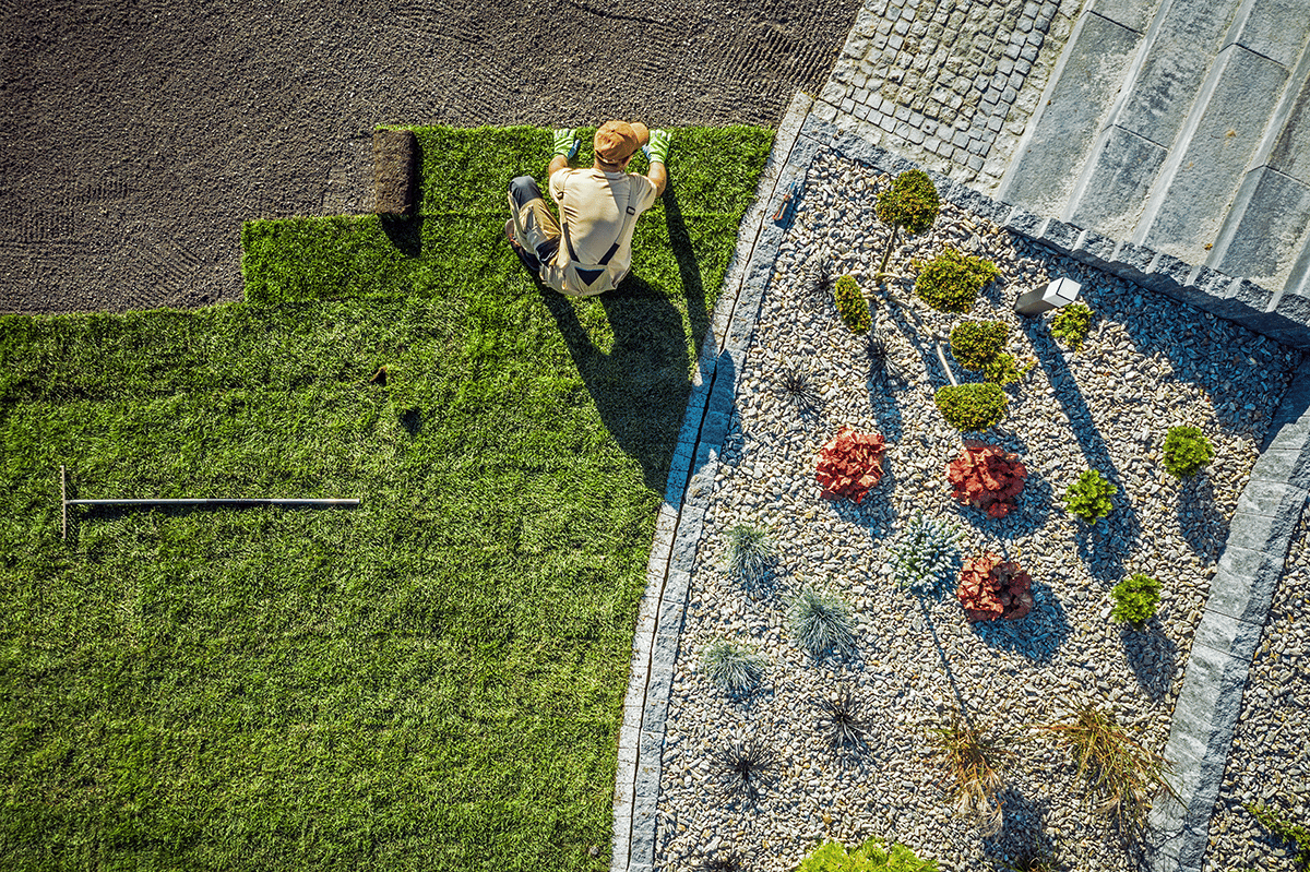 sod-installation-in-Florida