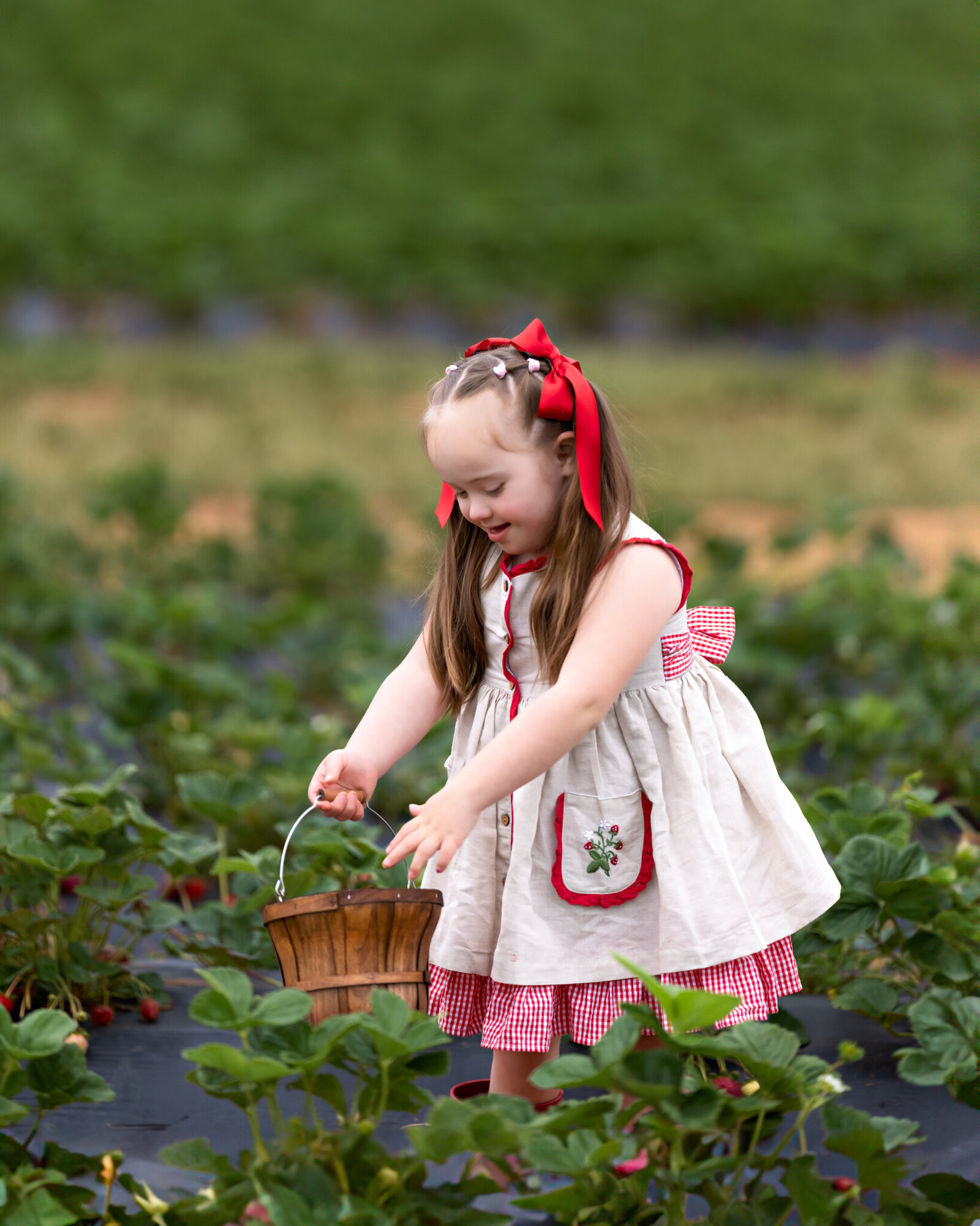 Raleigh-family-photographer-2025-560