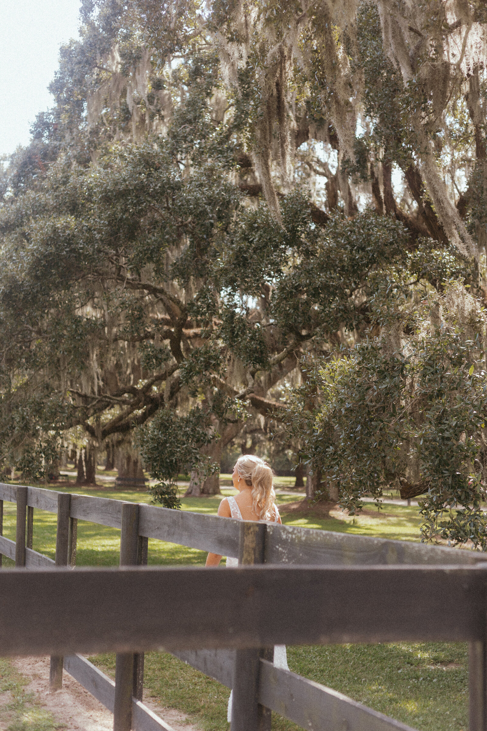 Charleston bride at Boone Hall Plantation
