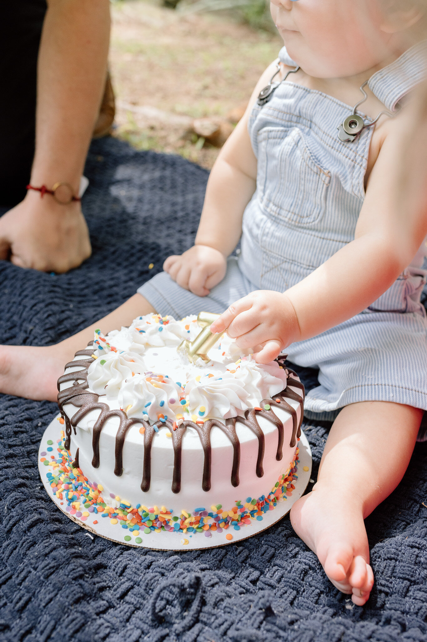 first-birthday-north-carolina-cake-photos (1)