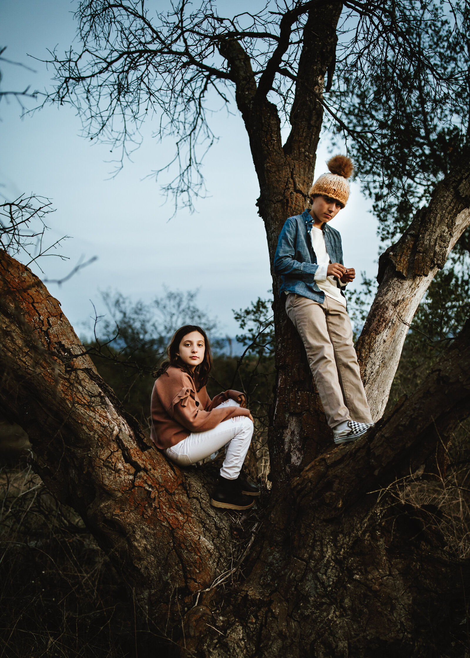 untitled-211119-739-Editsiblings-sit-in-tree-montecito-family-portrait-session