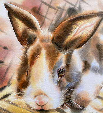 watercolor-cute-fluffy-bunny