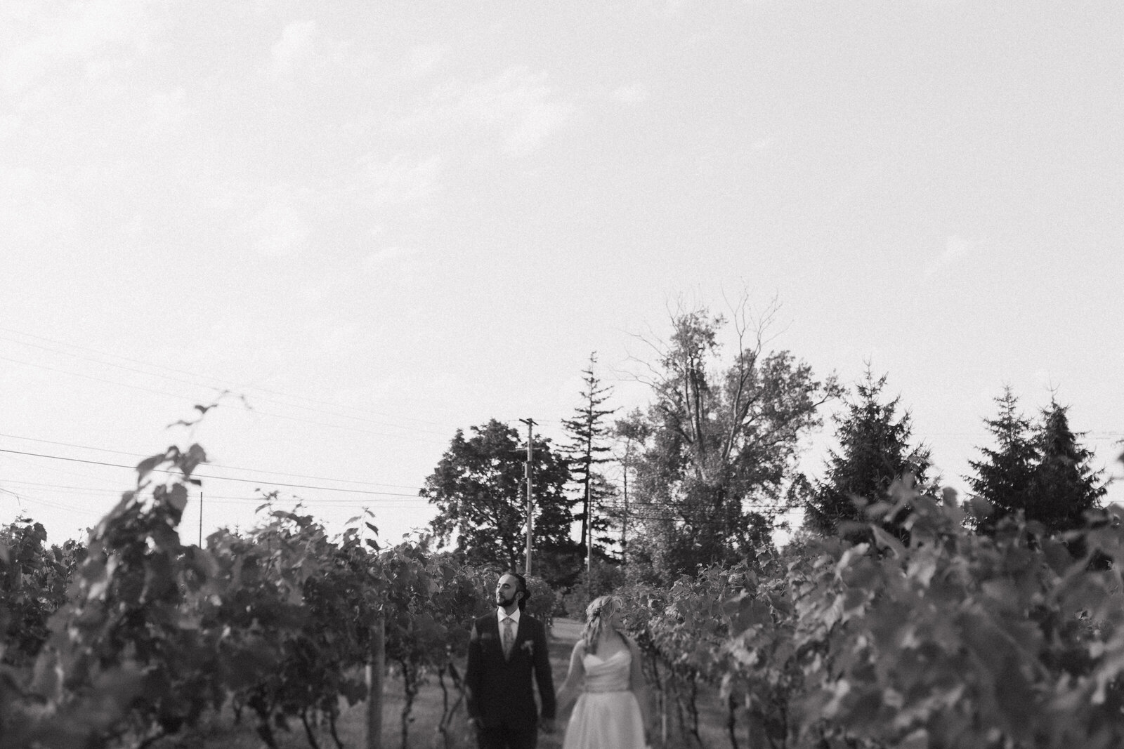 IzzosWhiteBarnWinery-88