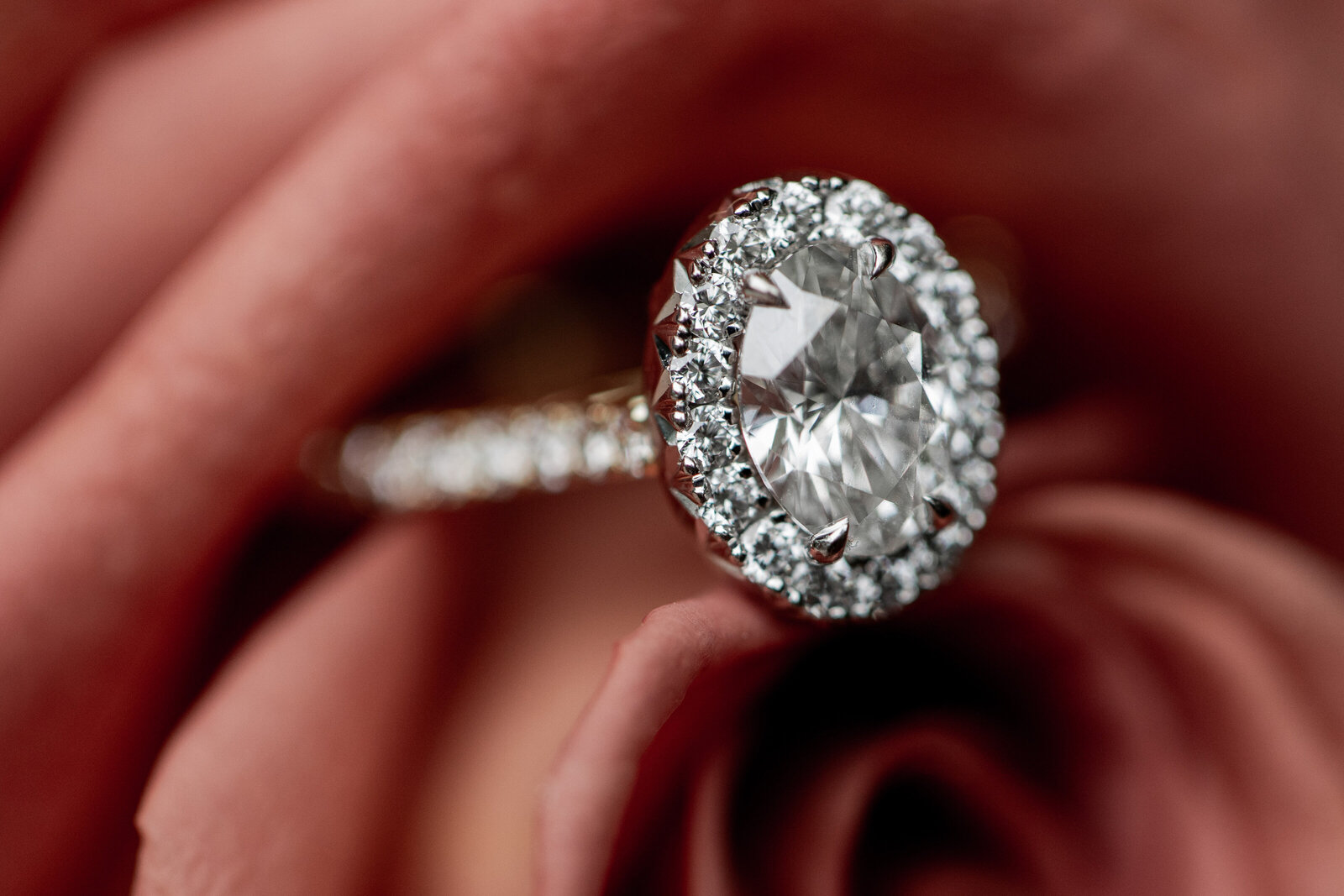 241018-Caitlin-Cameron-Rexvil-Photography-Adelaide-Wedding-Photographer-103
