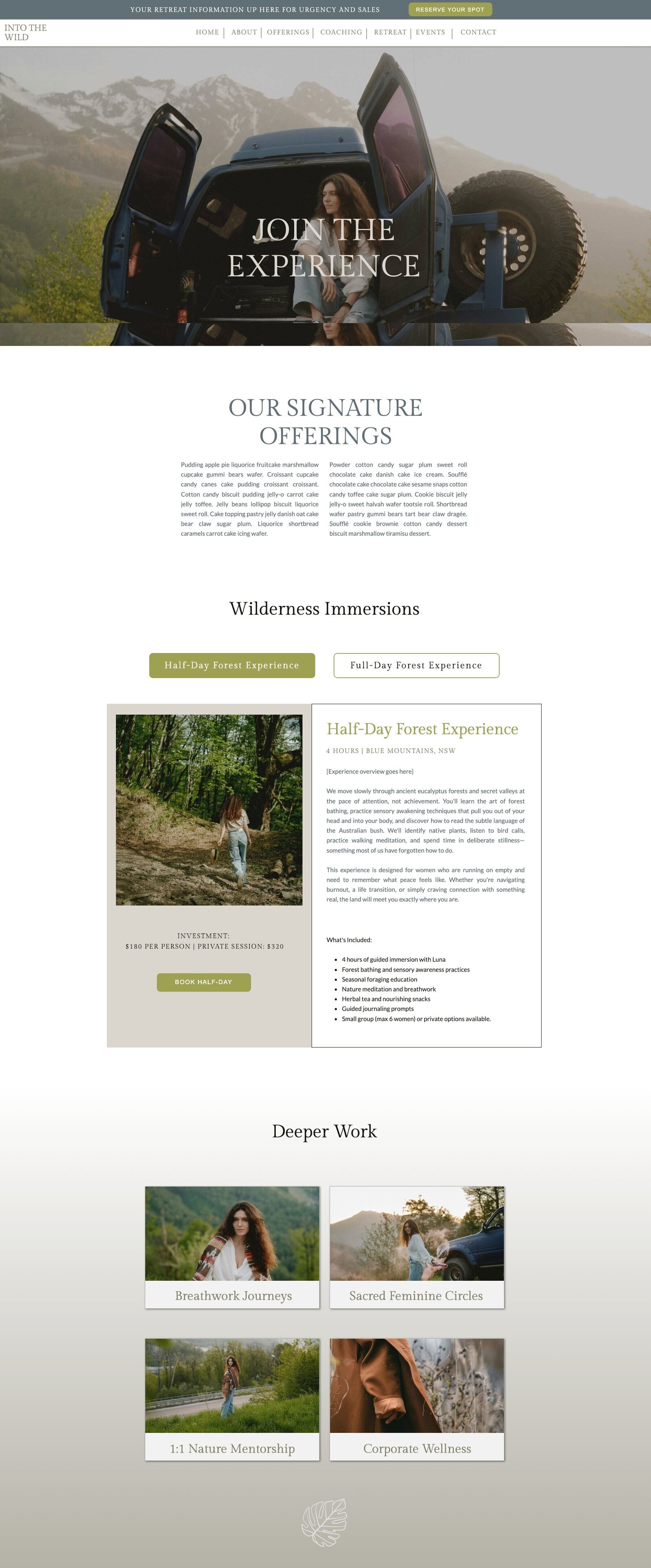 INTO THE WILD OFFERINGS PAGE