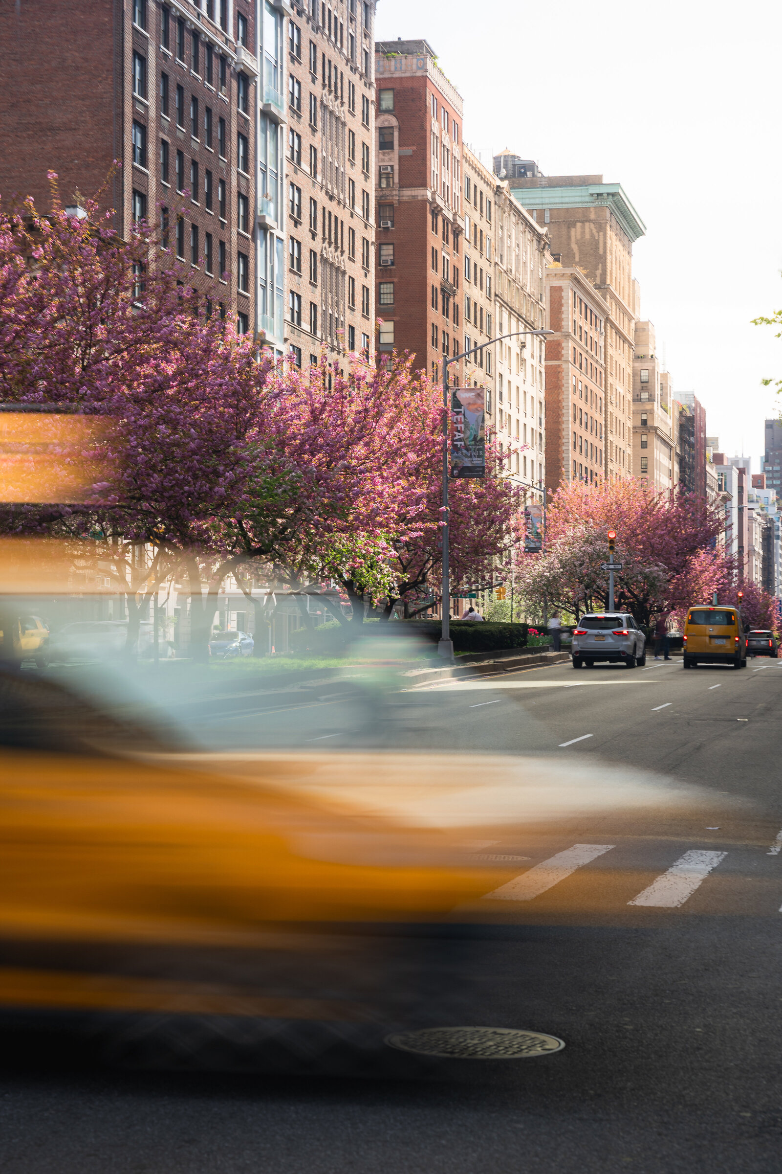NYC-Travel-Images-Park-Avenue