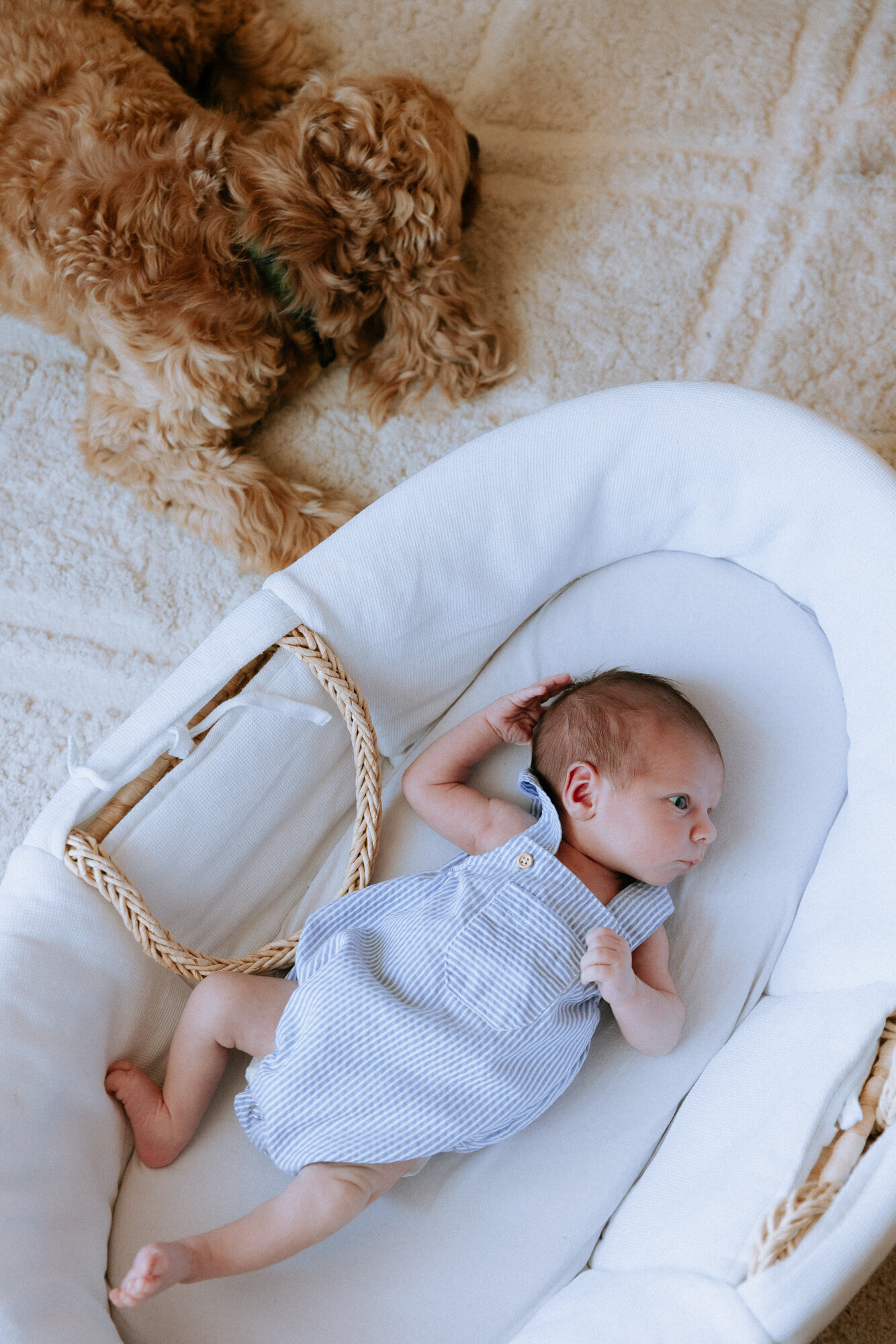 Seance-bebe-charlesCamila-Garcia-photographe-famille-Toulouse-57