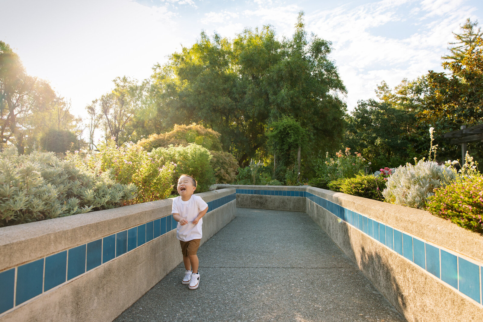 walnut creek family photographer