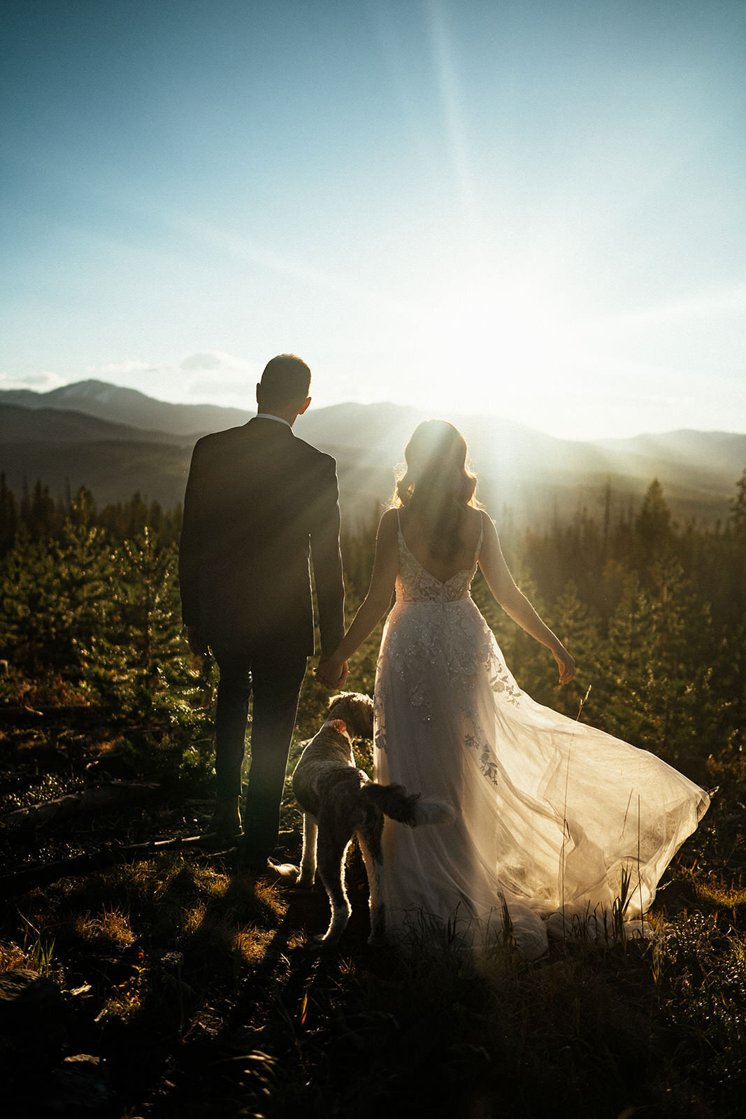 couple eloping with a dog in colorado