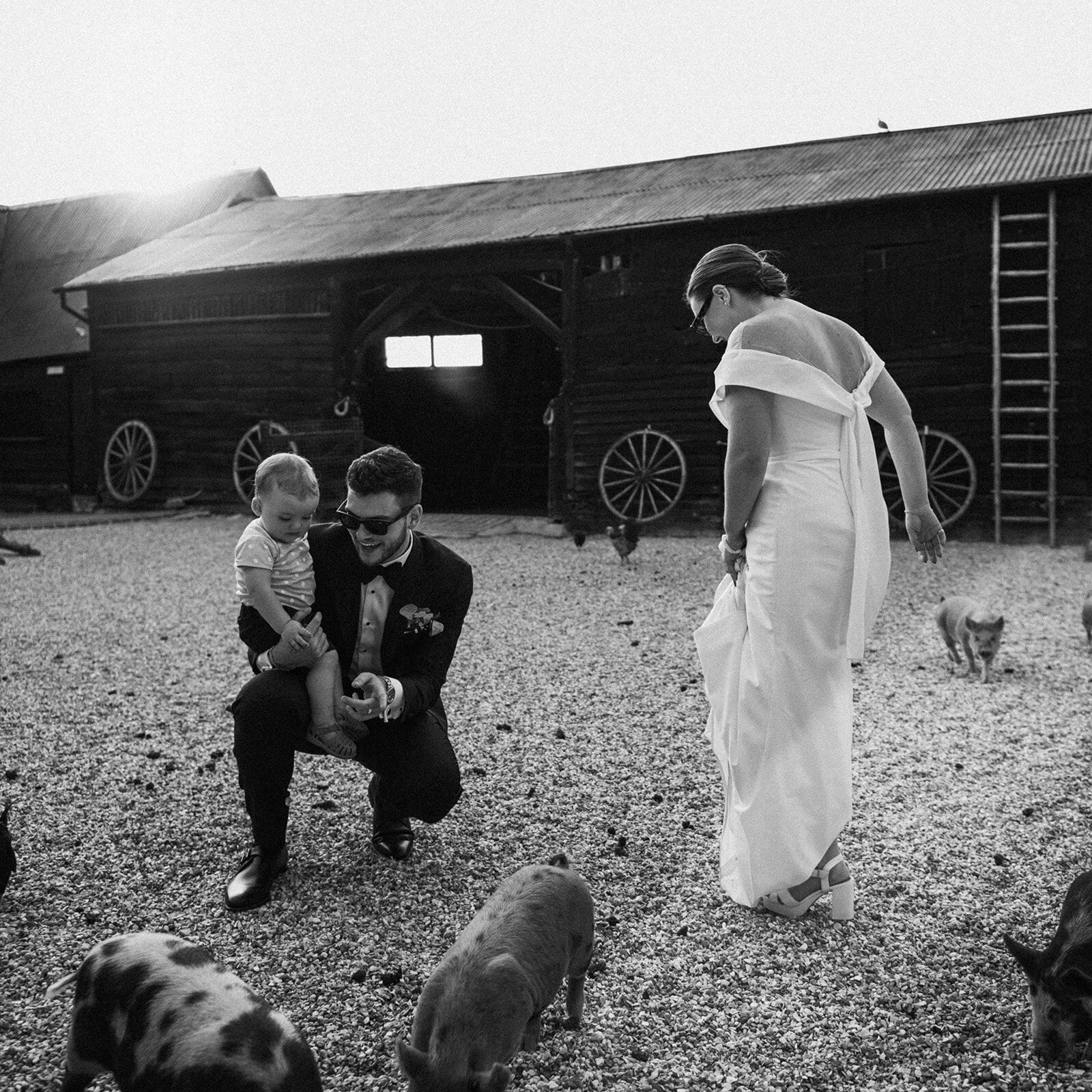 12082024 Jess & Joe Wedding at South Farm Slideshow (165 of 203)