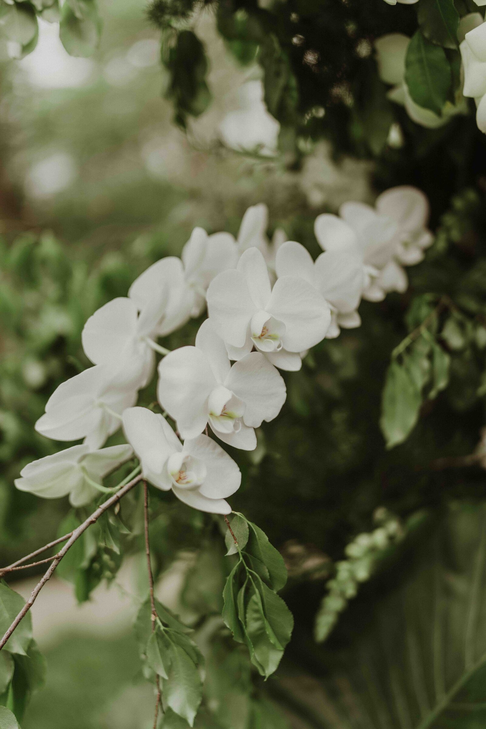 modern-minimal-wedding-flowers (112)