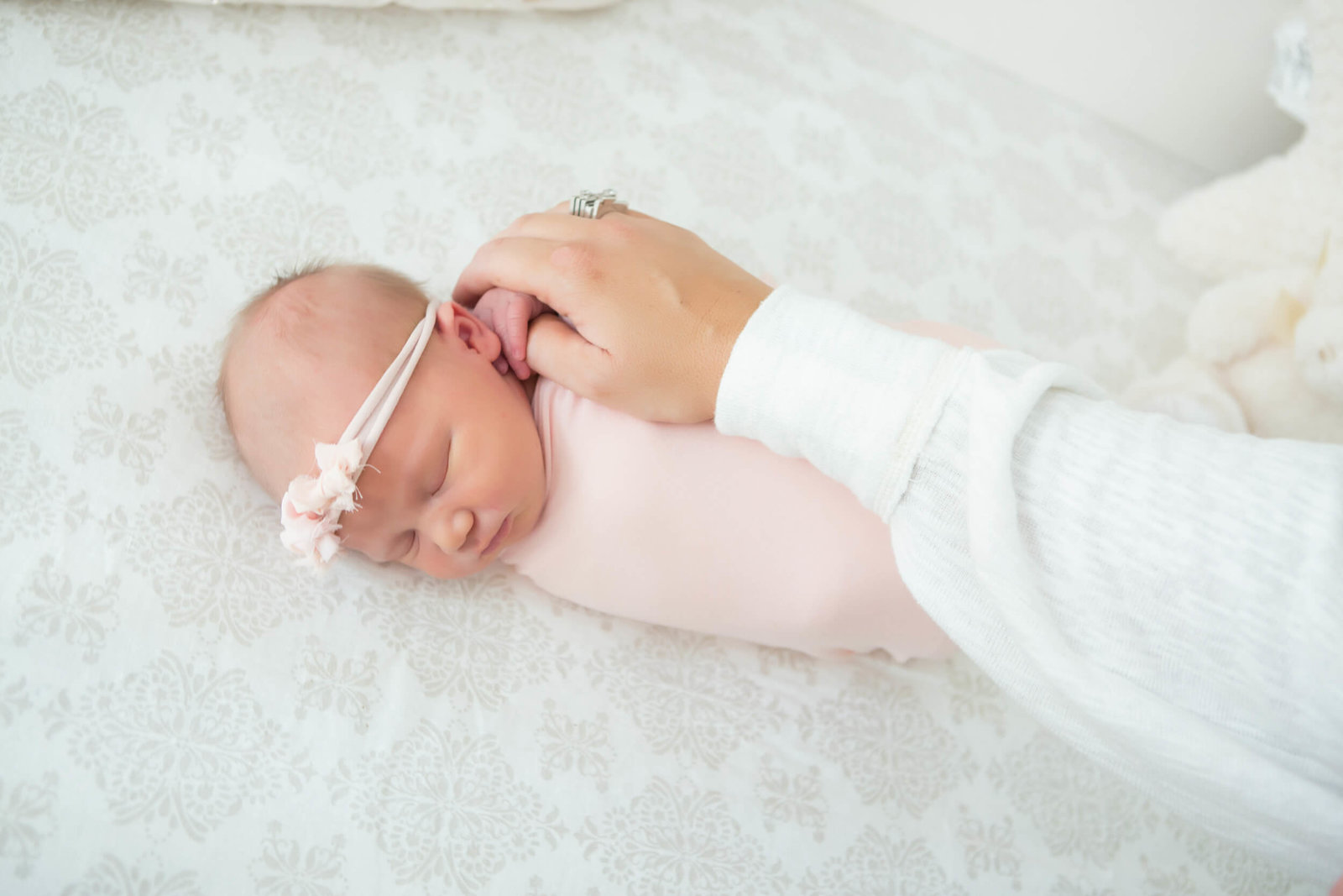 precious newborn photography gilbert