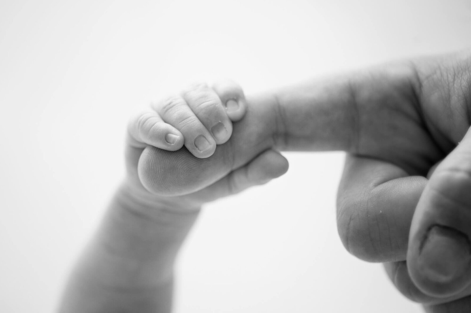 Black and white macro of newborn hand holding father's finger