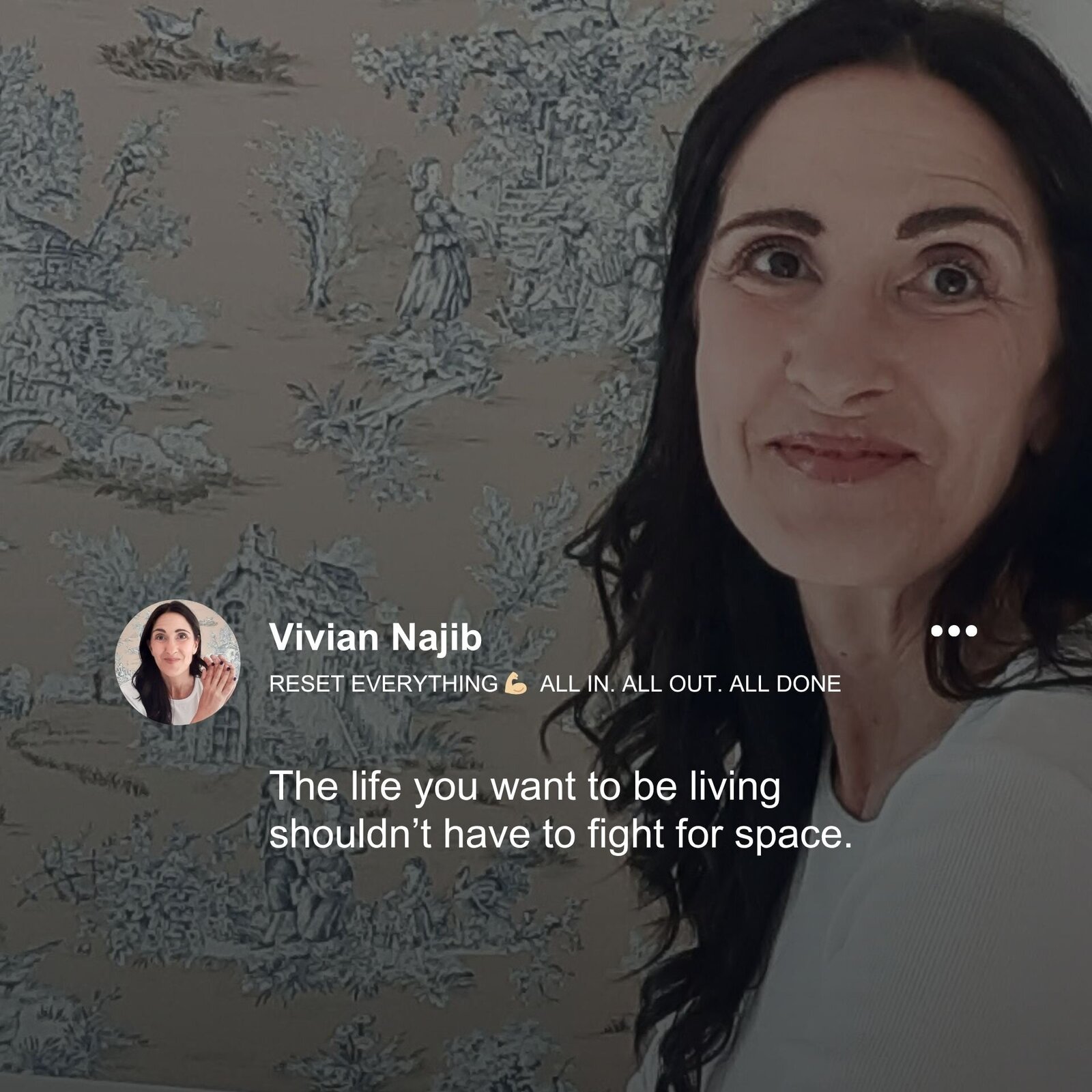 VIvian Najib - home organizer - reset everything - fight for space