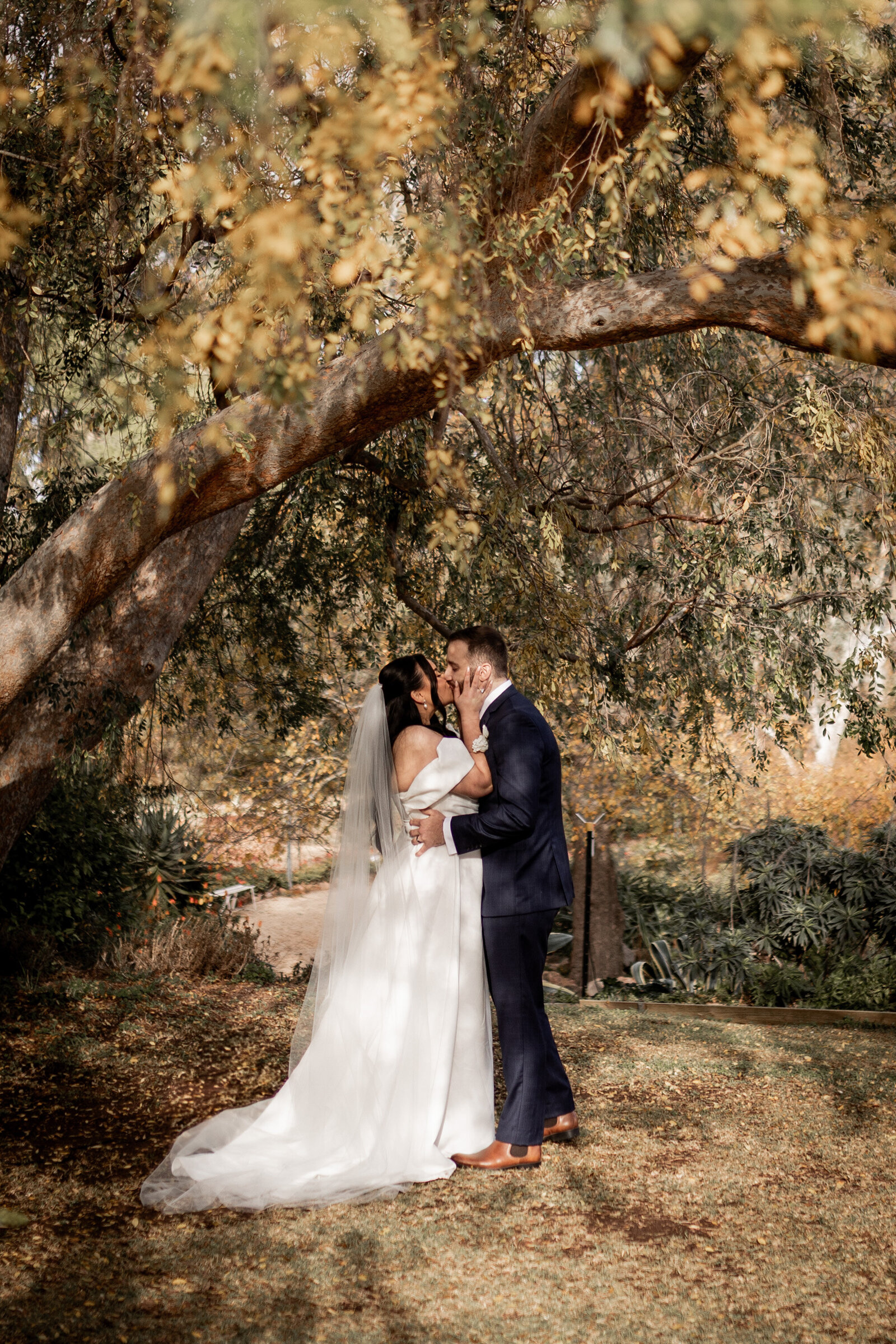 250612-Lucy-Brandon-Rexvil-Photography-Adelaide-Wedding-Photographer-360