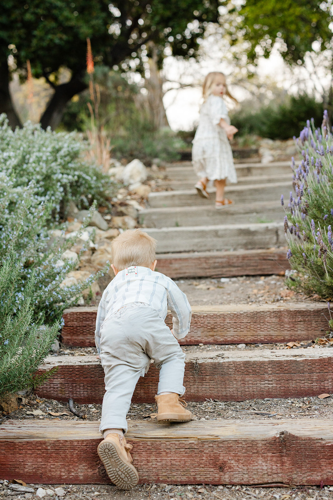 Brookeboroughphotography_thedebeikesfamily-13355